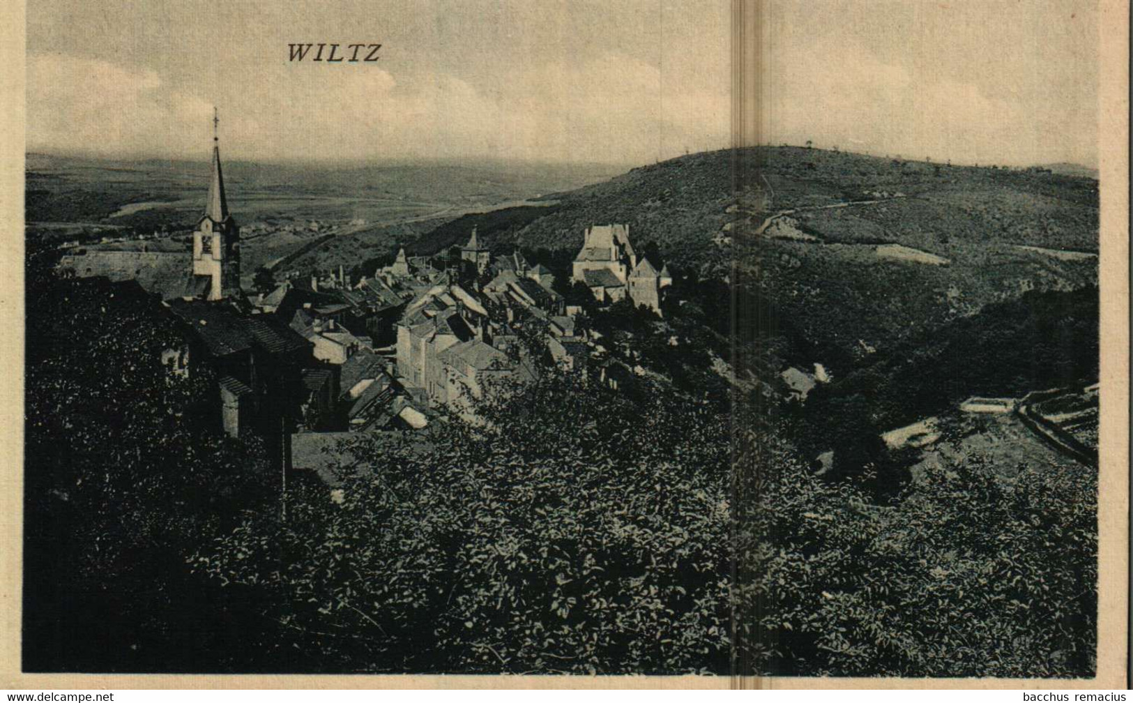 WILTZ   Edit. W.Capus Nr 206 - Wiltz