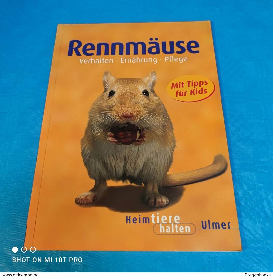 Heike Schmidt Röger - Rennmäuse - Animales
