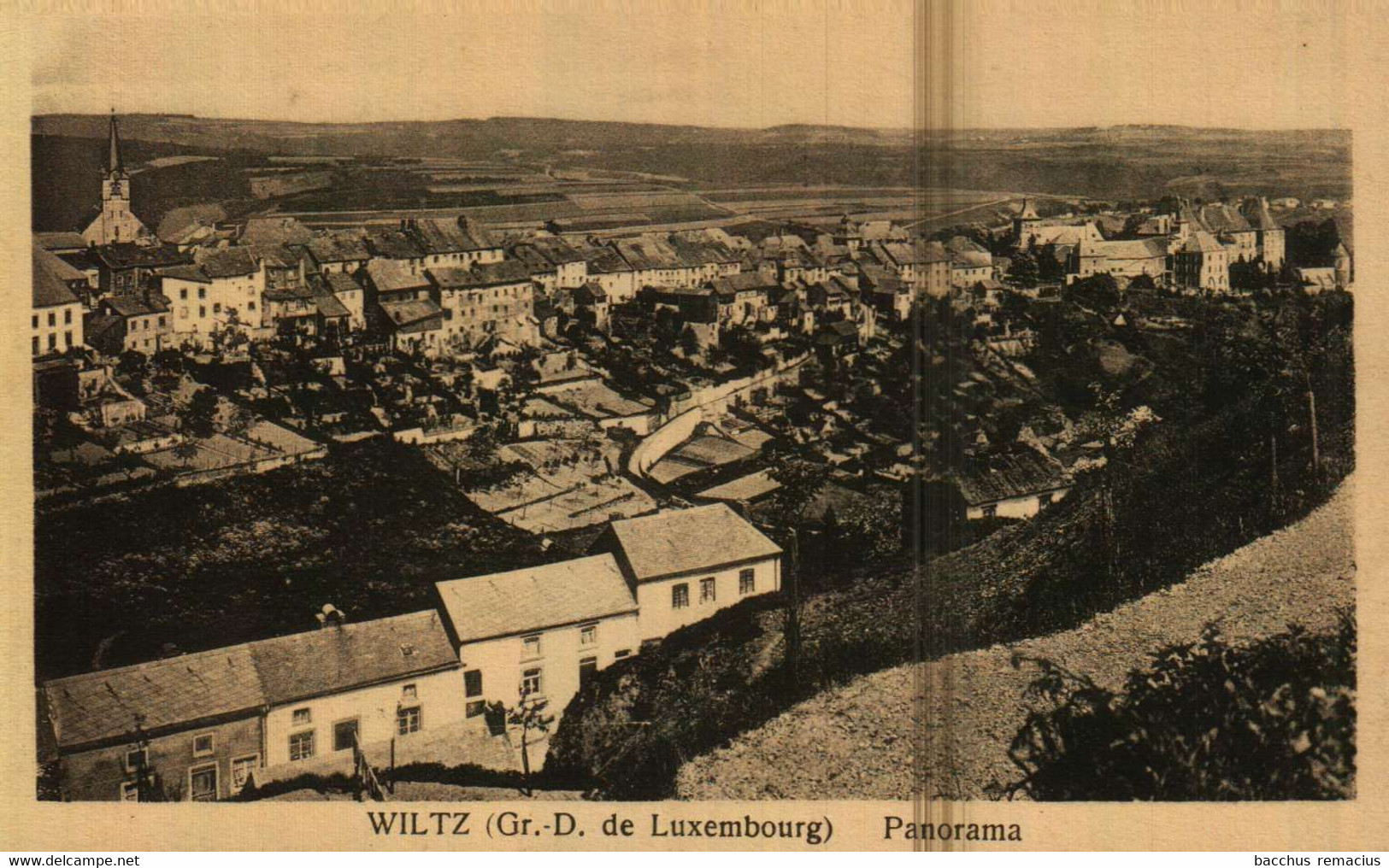 WILTZ Panorama  Edit. Capus & Fiedler  Nr 8 - Wiltz