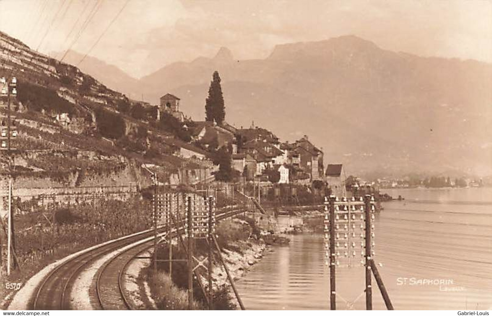 St. Saphorin Lavaux Ligne Train CFF SBB - Saint-Saphorin