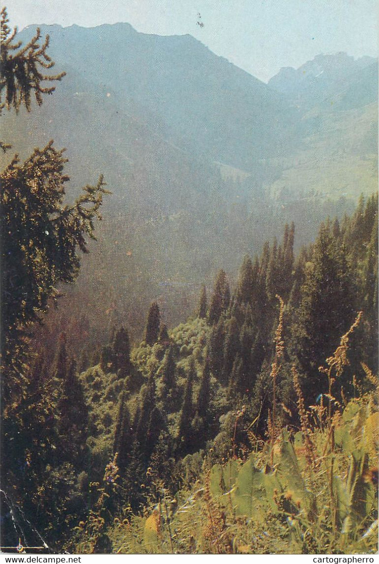 Postcard Kazakhstan Alma-Ata 1968 - Kazakhstan