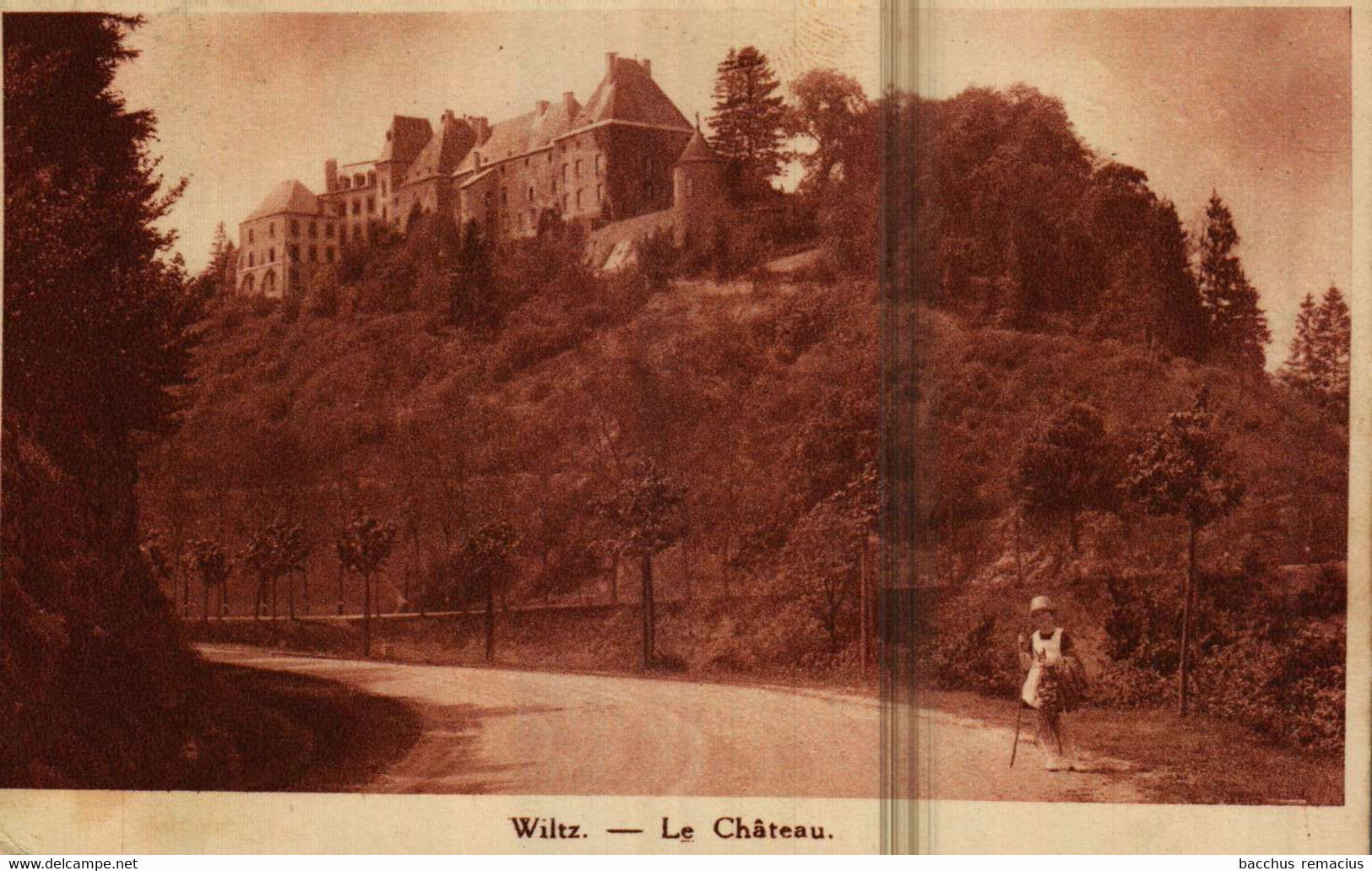 WILTZ Le Chateau Photo J.Kaemmerer  Beau Cachet De L'HOTEL THILGES - Grand'Rue - Wiltz