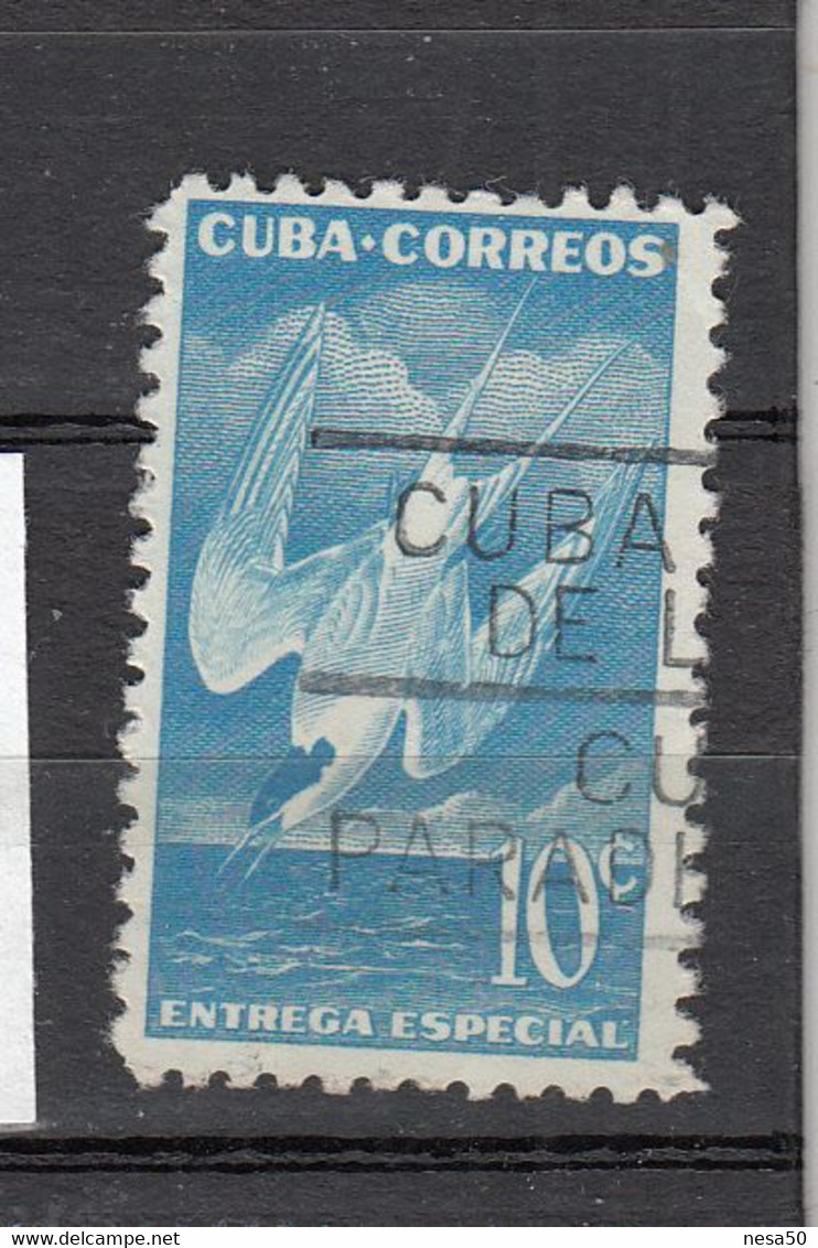 Cuba 1953 Mi Nr 396, Vogel, Bird, Dougalls Stern - Gebruikt