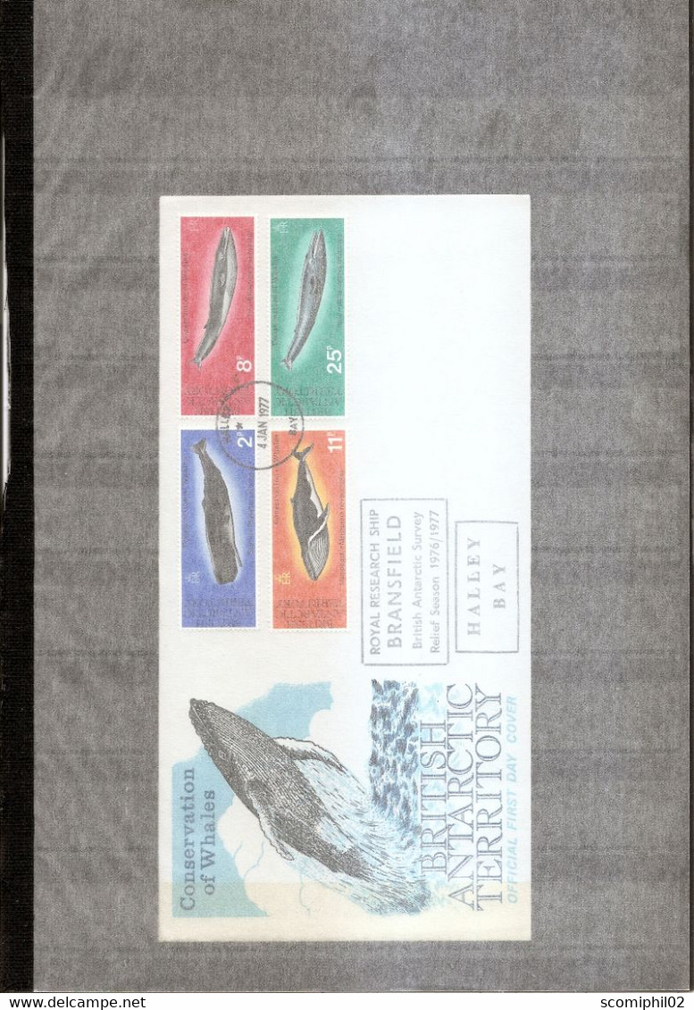 Antarctique Britannique - Mammifères Marins ( FDC De 1977 à Voir) - FDC