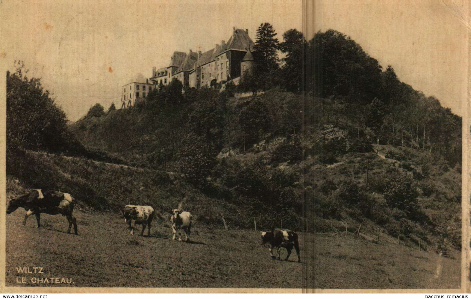 WILTZ  Le Chateau  Photo-Atelier, Wiltz - Wiltz