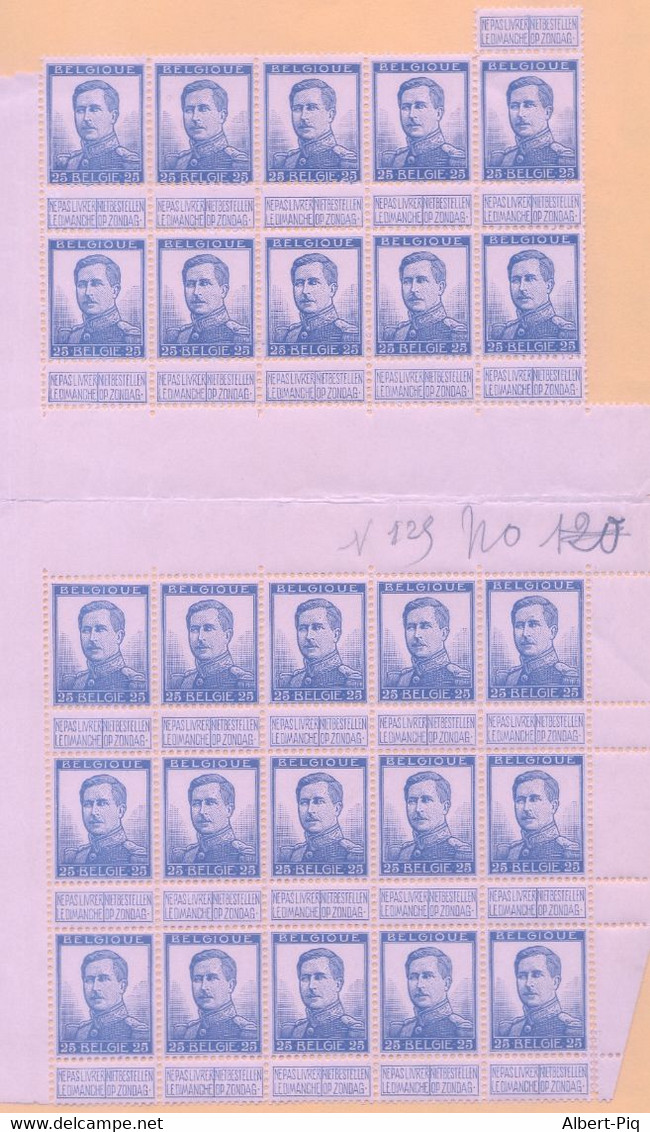 Belgique Lot De Timbres Et Blocs Divers De Feuilles Albert 1°,  Neufs **, à étudier, TTB/sup - 1915-1920 Albert I