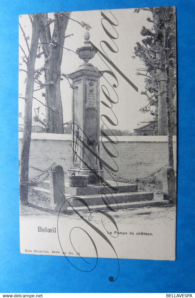 Beloeil Nels  Serie 45 N°14  &  G.Delcourt La Place Et La Statue; 2 X Cpa - Beloeil