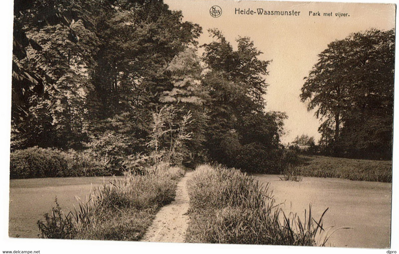 Waasmunster  Heide   Park Met Vijver - Waasmunster