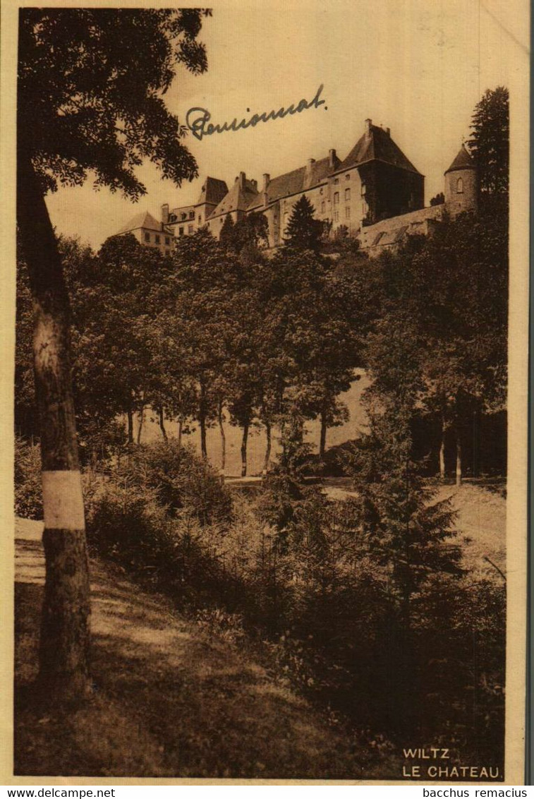 WILTZ   Le Chateau Photo  J.Kaemmerer - Wiltz