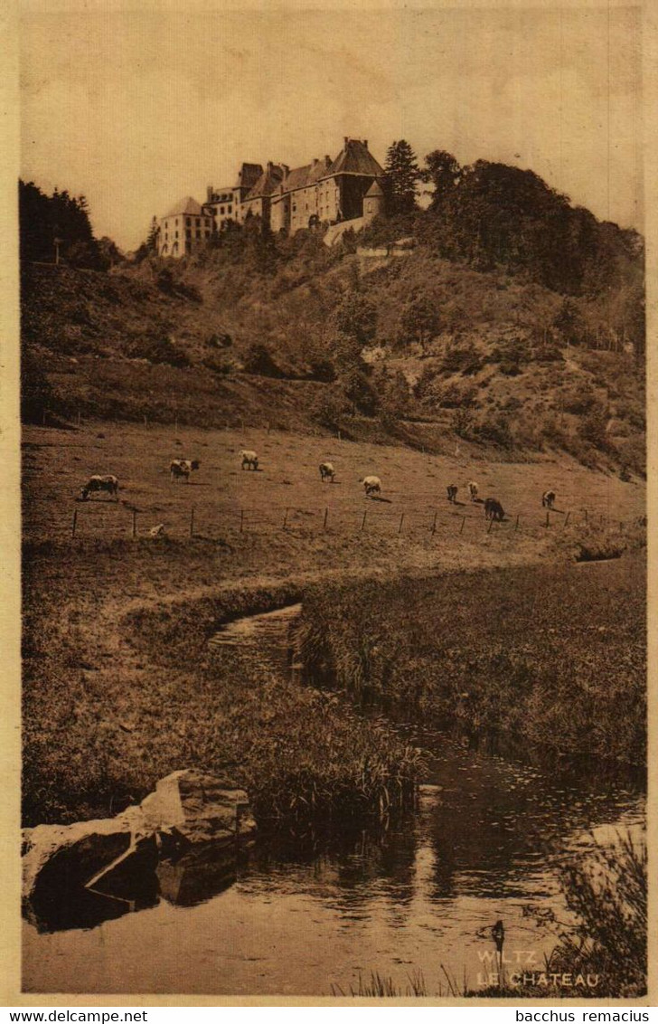 WILTZ (Luxbg) Le Chateau Photo  J.Kaemmerer - Wiltz