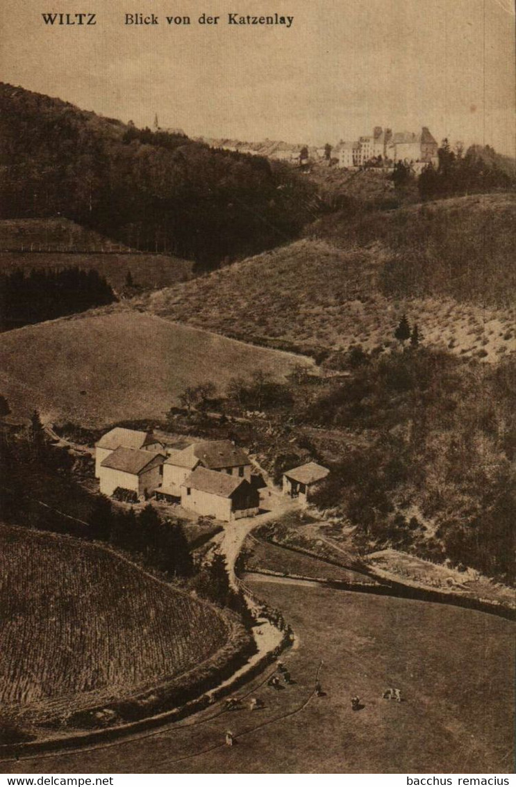 WILTZ  Blick Von Der Katzenlay Photo  J.Kaemmerer - Wiltz