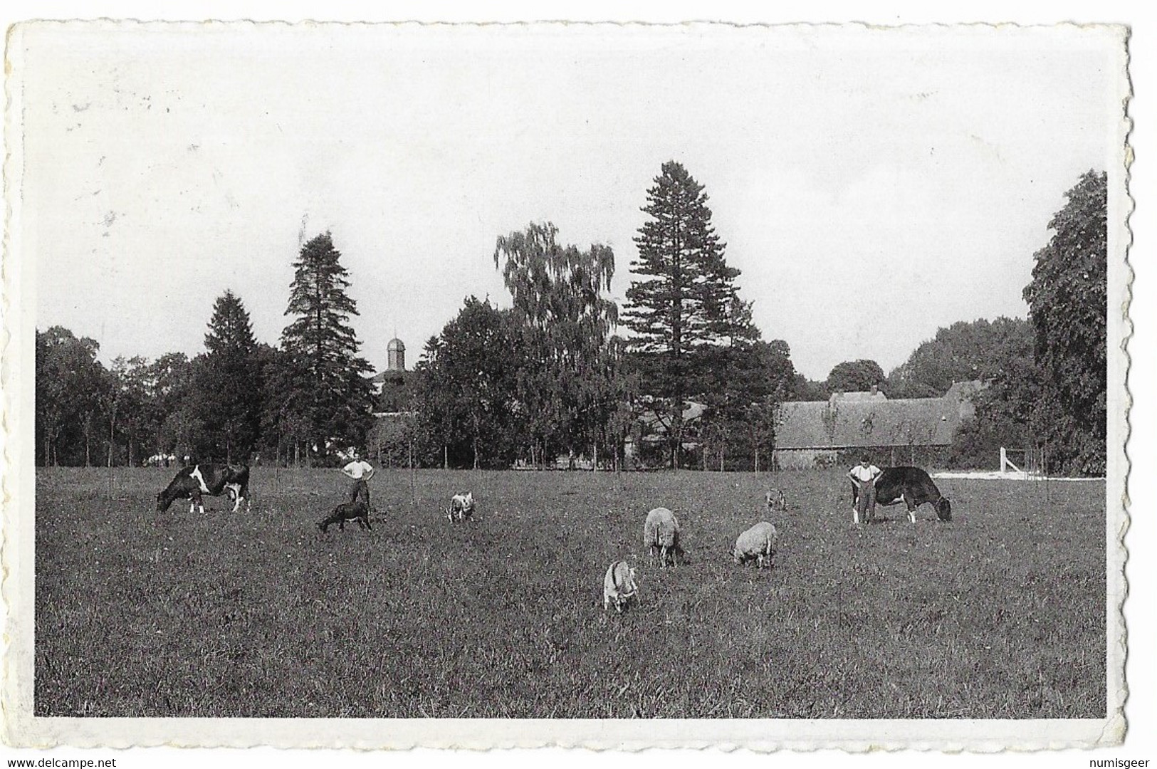 LEZ HUY  --  < L'HEUREUX ABRI > Château De Solières - Un Coin Du Parc: Le Cheptel - Hoei