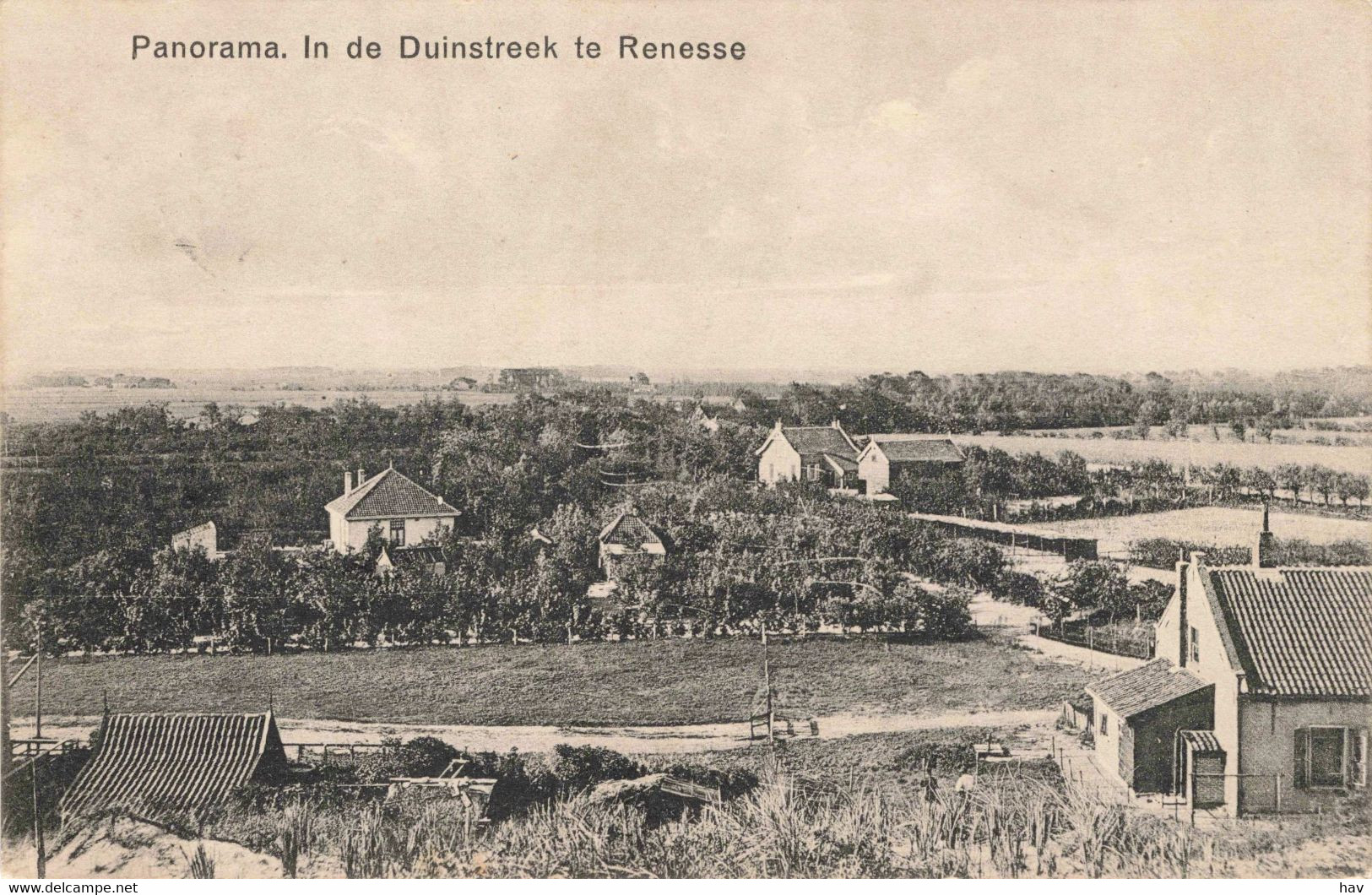 Renesse Panorama In De Duinstreek 1505 - Renesse