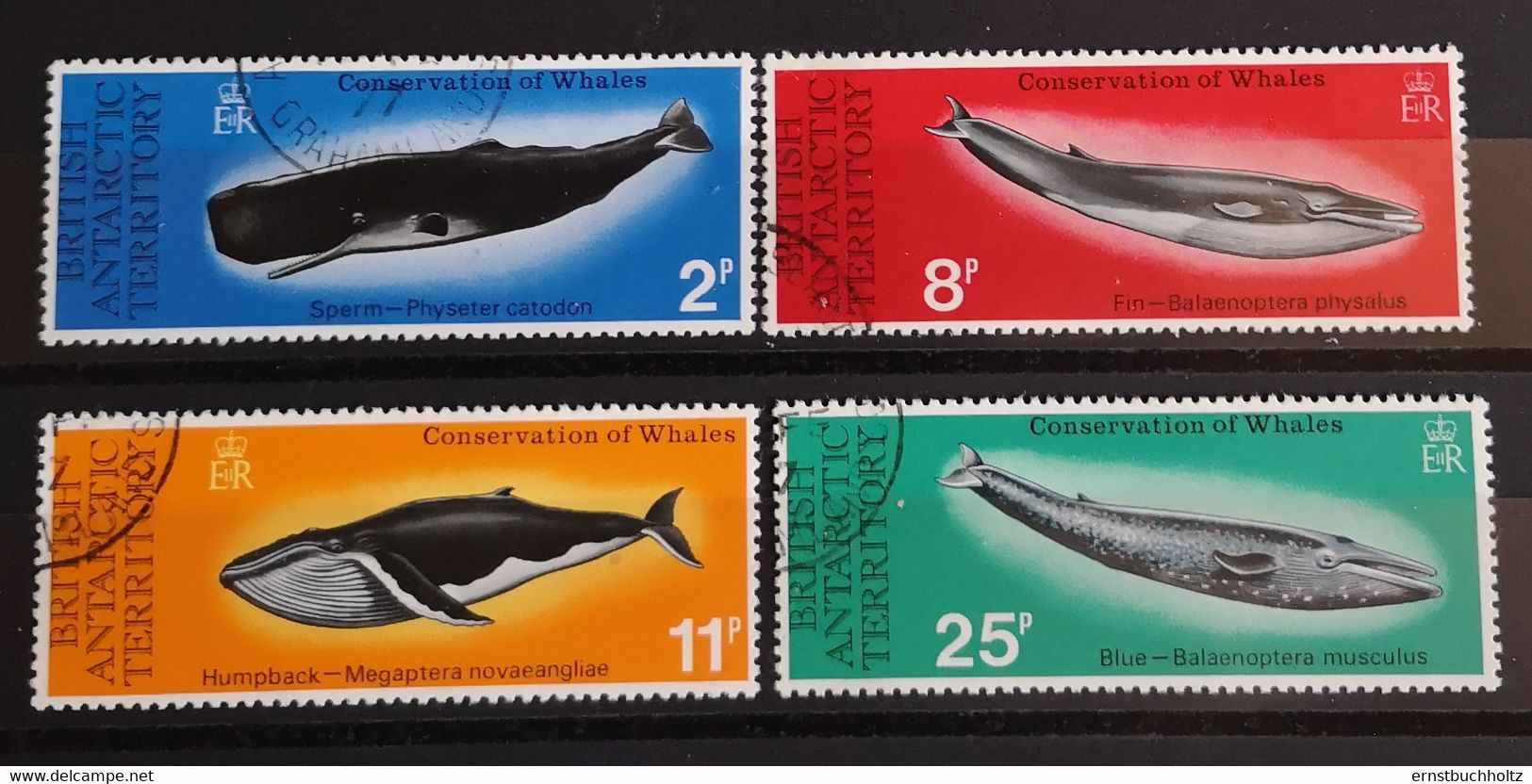 British AntarcticTerritory 1977 Mi 64/67 ** Wale Whales Gestempelt - Used Stamps