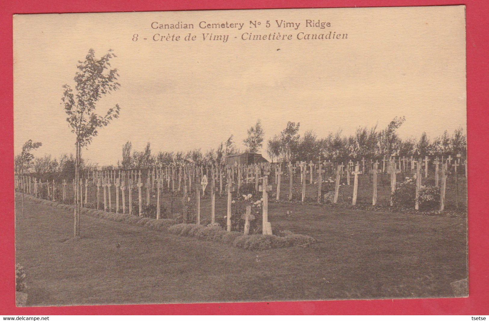 Crète De Vimy - Cimetière Canadien / Canadian Cemetery N° 5 ( Voir Verso ) - Soldatenfriedhöfen