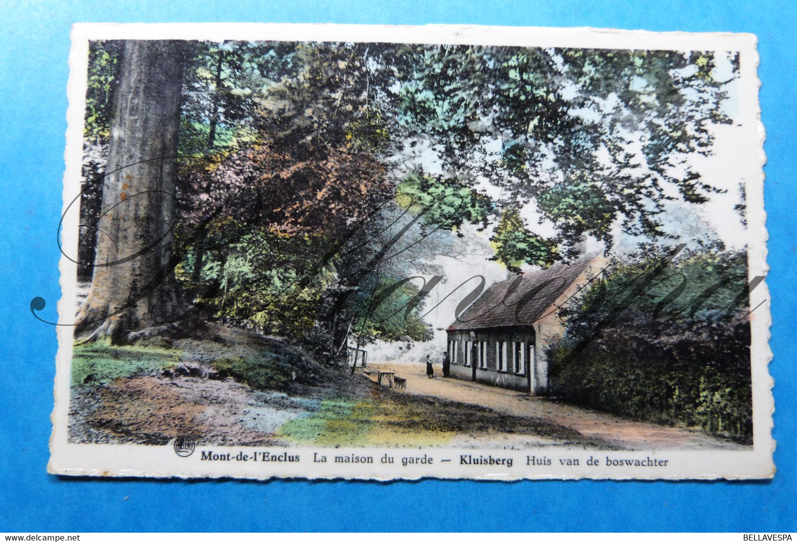 Orroir Kluisbergen Mont -de-l'Enclus Lot x ruim 110 postkaarten