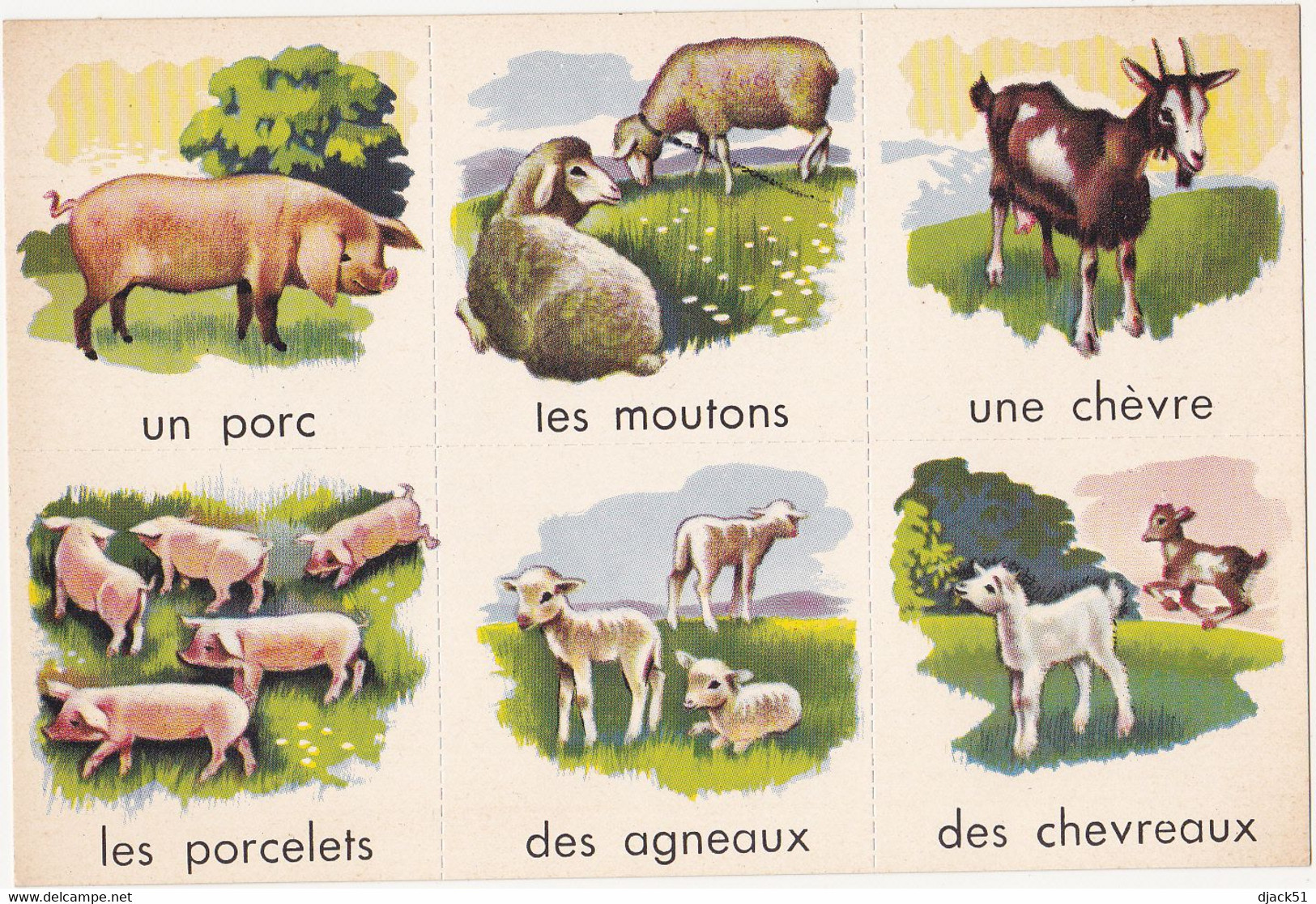 Images à Découper / Les Animaux De La Ferme Et Leurs Petits / Années 50 (Scolaire, Ecole, Enfant) - Animales