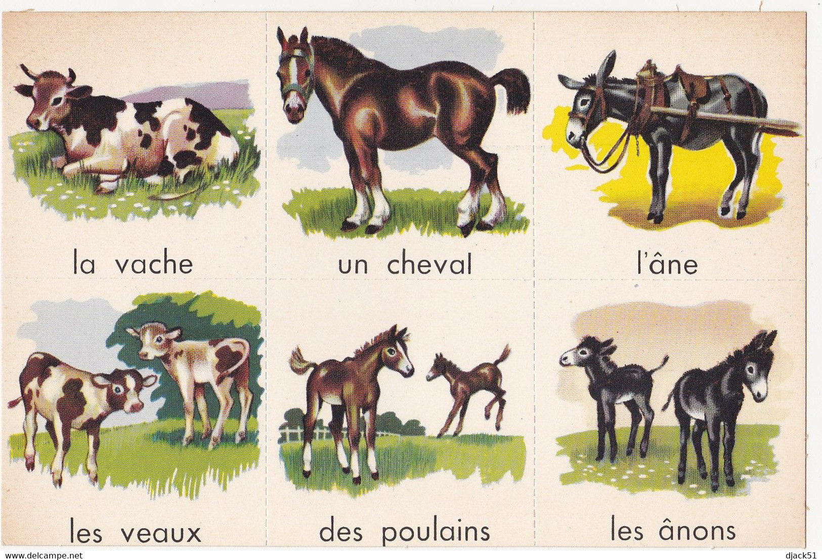 Images à Découper / Les Animaux De La Ferme Et Leurs Petits / Années 50 (Scolaire, Ecole, Enfant) - Dieren