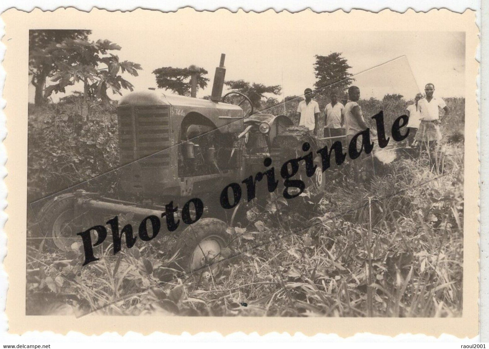 Photo Originale - RWANDA Kigali ? Tracteur MASSEY HARRIS 744 D Avec Chenille Fabriqué Au Royaume-Uni Ecosse Années 50 - Rwanda