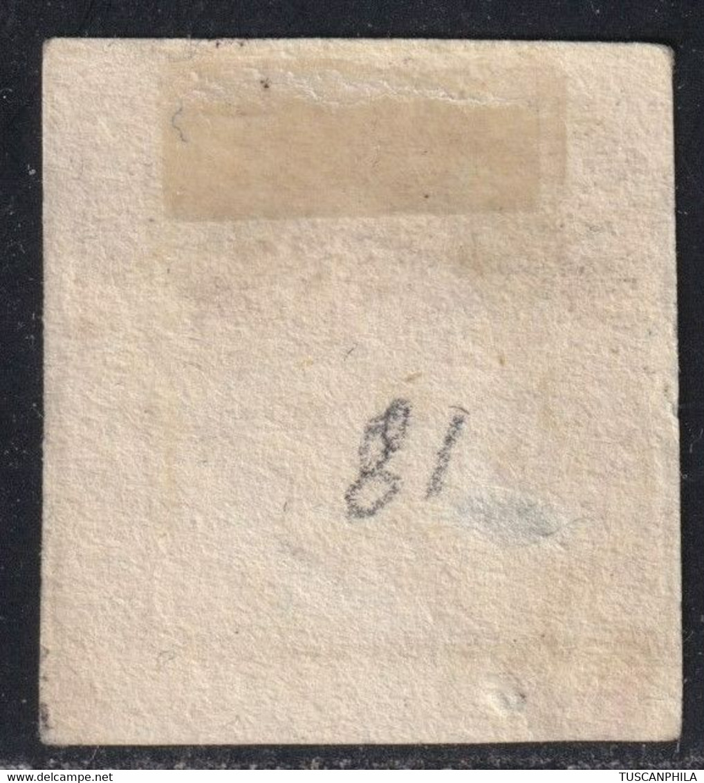 20 Gr. Pos.81 Sass 13c Grandi Margini Usato Cv 1650 - Sicilia