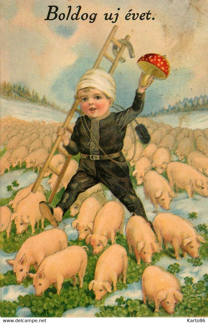 Champignon , Cochons Et Petit Ramoneur * CPA Illustrateur * Chimney Sweep Métier Pig Cochon * Mushroom Champignons - Pilze