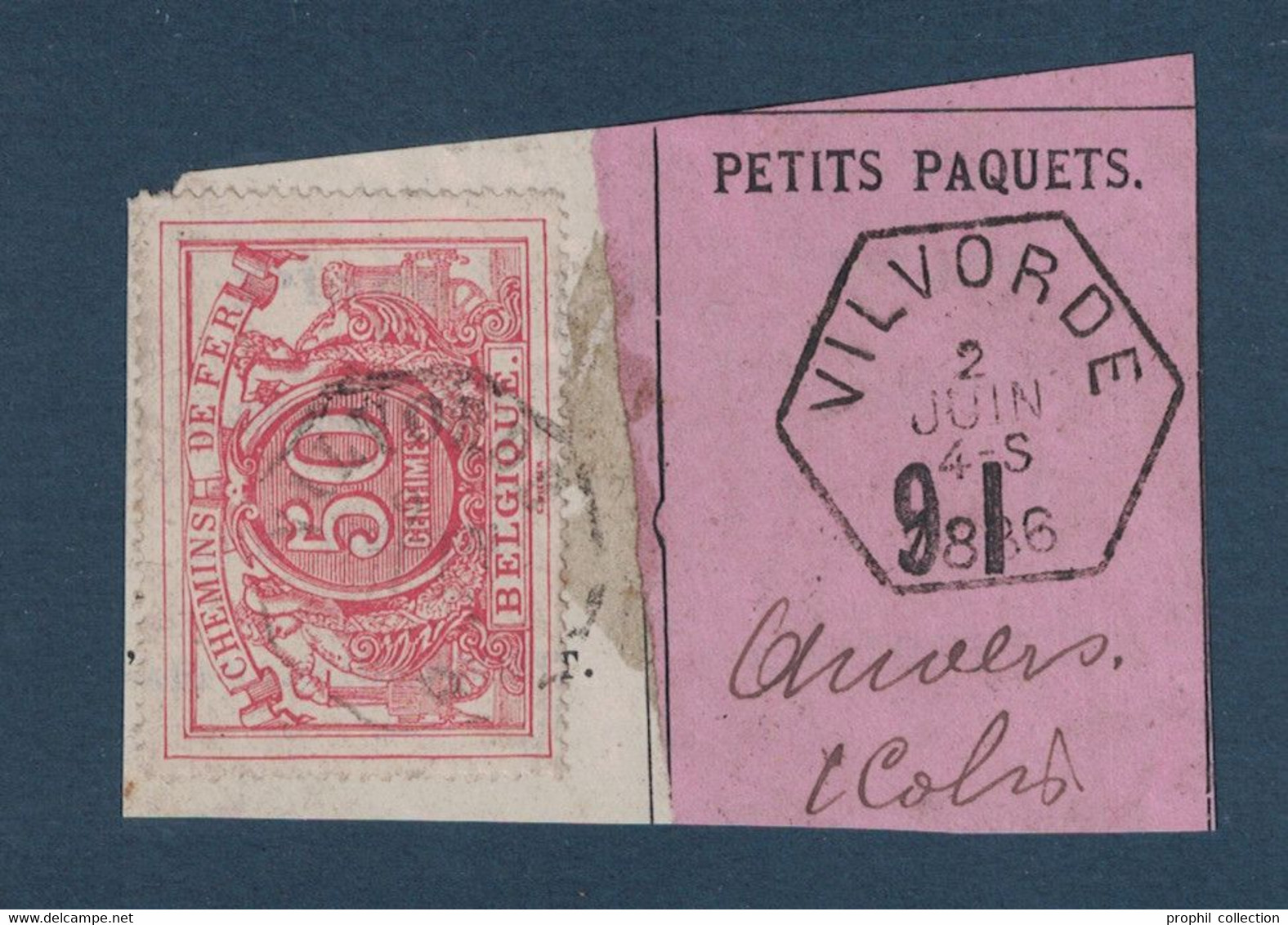 FRAGMENT Avec ETIQUETTE PETITS PAQUETS TIMBRE CHEMINS DE FER CACHET VILVORDE > ANVERS 1886 - Documenti & Frammenti