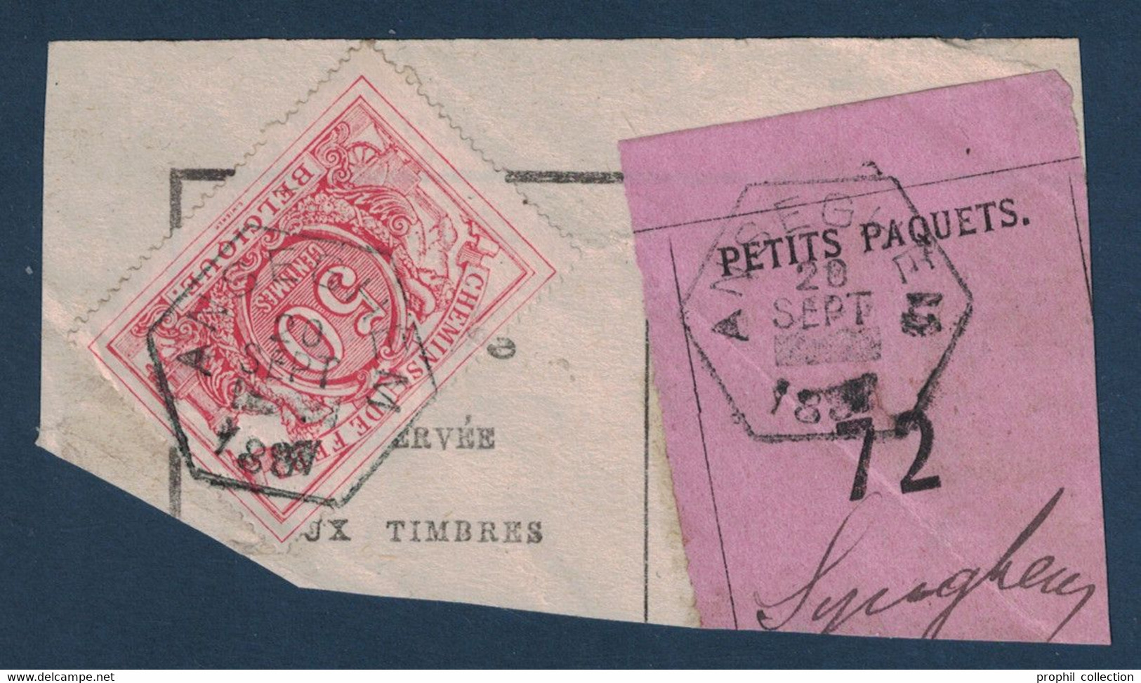 FRAGMENT Avec ETIQUETTE PETITS PAQUETS TIMBRE CHEMINS DE FER CACHET ANSEGHEM 1887 - Documentos & Fragmentos