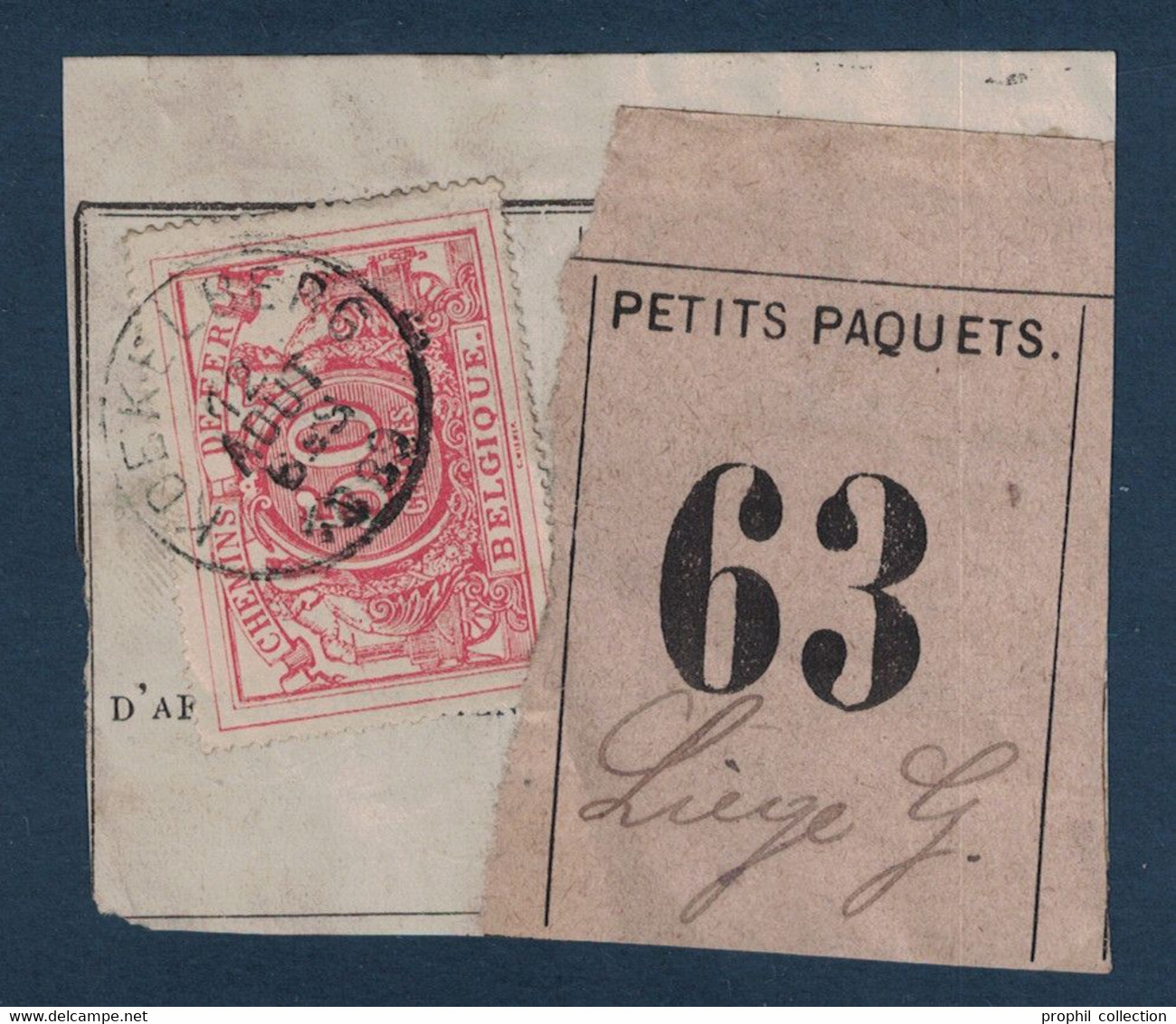 FRAGMENT Avec ETIQUETTE PETITS PAQUETS TIMBRE CHEMINS DE FER CACHET KOEKELBERG > LIEGE 1889 - Dokumente & Fragmente