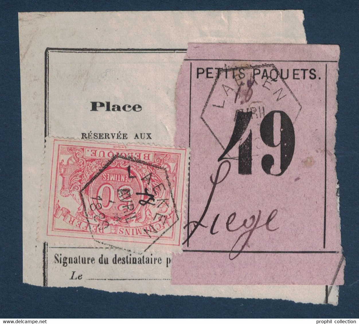 FRAGMENT Avec ETIQUETTE PETITS PAQUETS TIMBRE CHEMINS DE FER CACHET LAEKEN > LIEGE 1889 - Documentos & Fragmentos