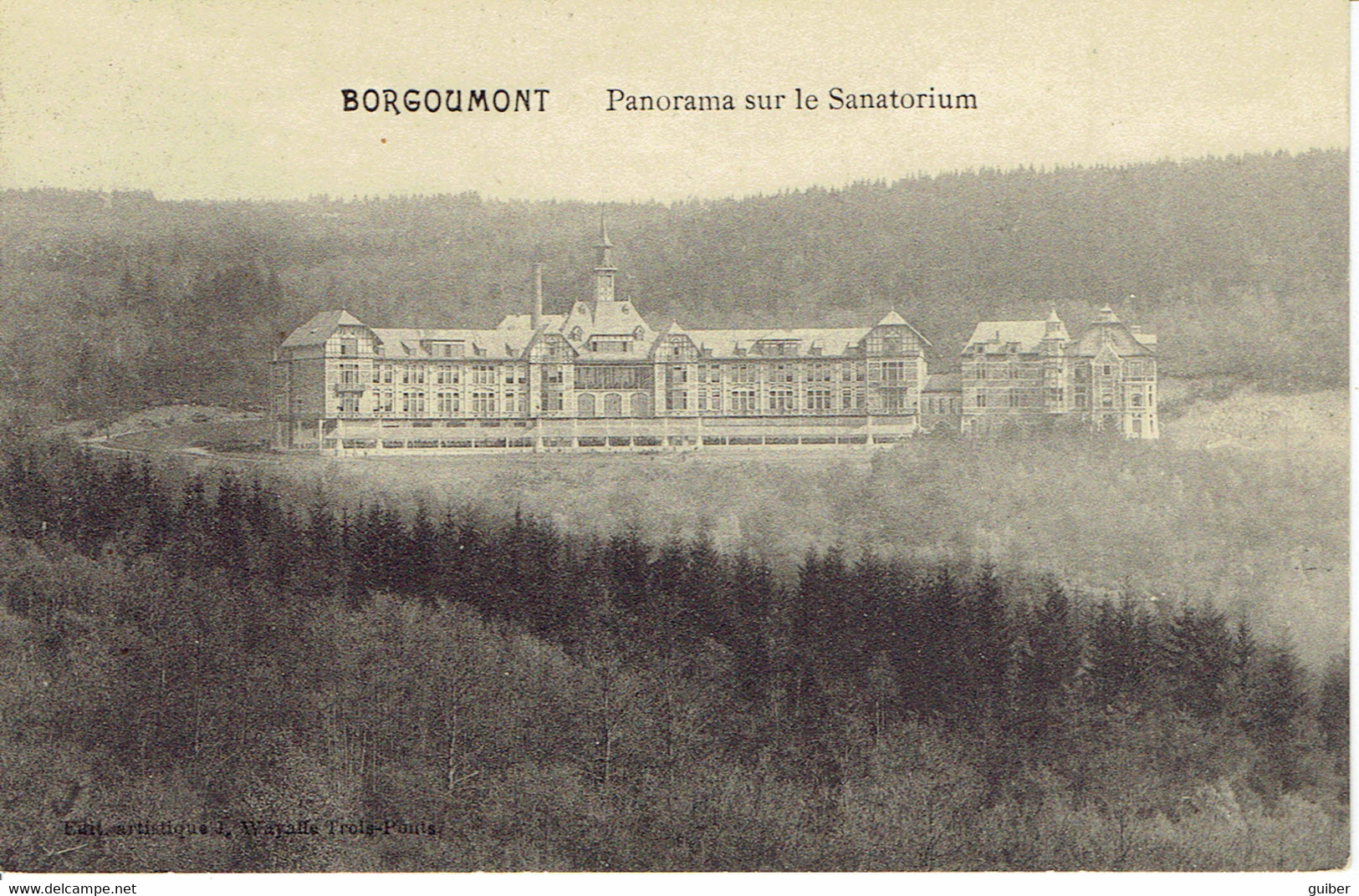 Borgoumont Panorama Sur Le Sanatorium - Stoumont