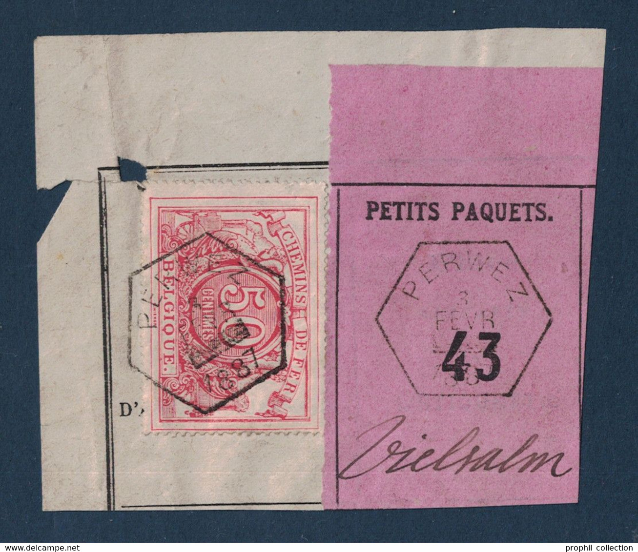 FRAGMENT Avec ETIQUETTE PETITS PAQUETS TIMBRE CHEMINS DE FER CACHET PERWEZ 1887 - Documenten & Fragmenten