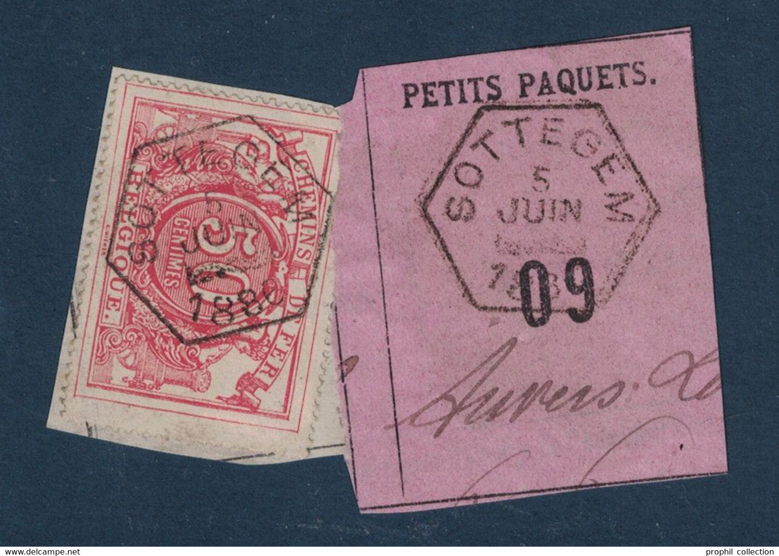 FRAGMENT Avec ETIQUETTE PETITS PAQUETS TIMBRE CHEMINS DE FER CACHET PERUWELZ 1889 - Documenti & Frammenti