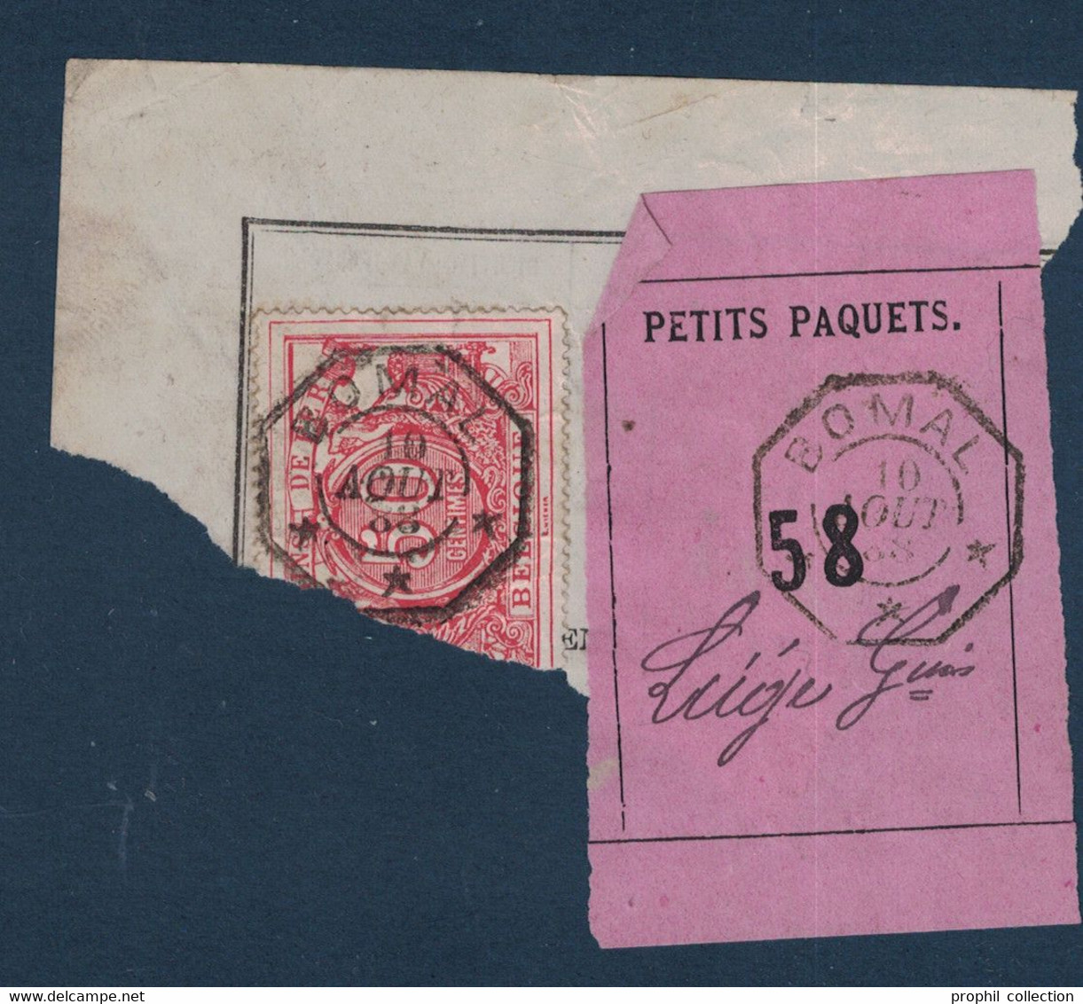 FRAGMENT Avec ETIQUETTE PETITS PAQUETS TIMBRE CHEMINS DE FER CACHET BOMAL > LIEGE 1888 - Dokumente & Fragmente