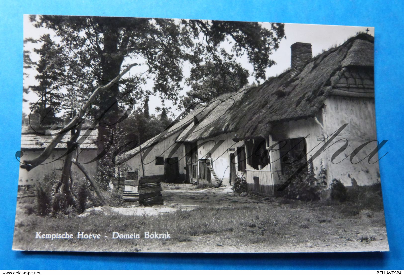 Genk  Kempische Hoeve Bokrijk - Genk