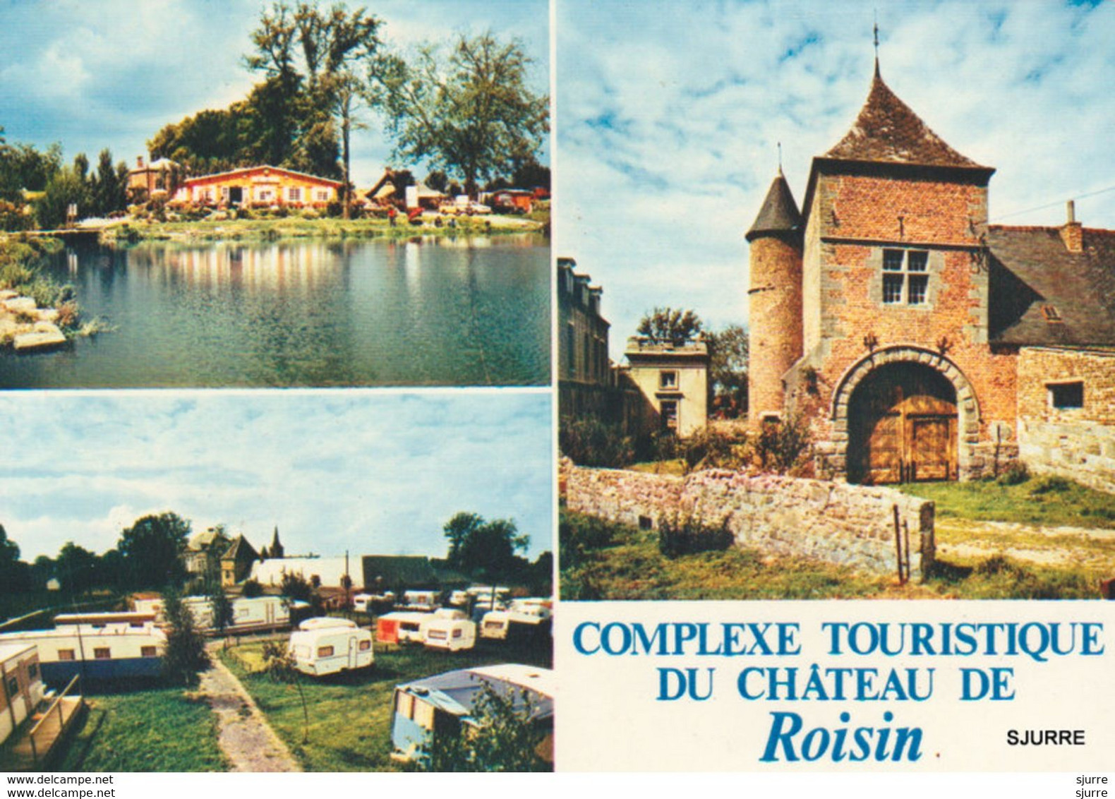 Roisin / Honnelles - Complexe Touristique Du Château De Roisin - Kasteel * - Honnelles