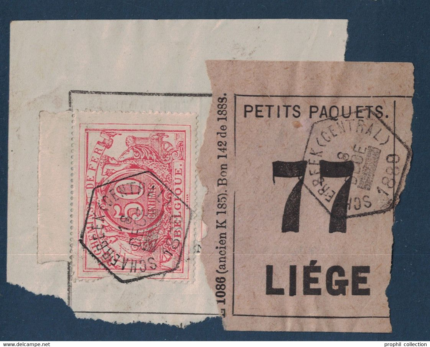 FRAGMENT Avec ETIQUETTE PETITS PAQUETS TIMBRE CHEMINS DE FER CACHET SCHAERBEEK (CENTRAL) > LIEGE 1889 - Documentos & Fragmentos