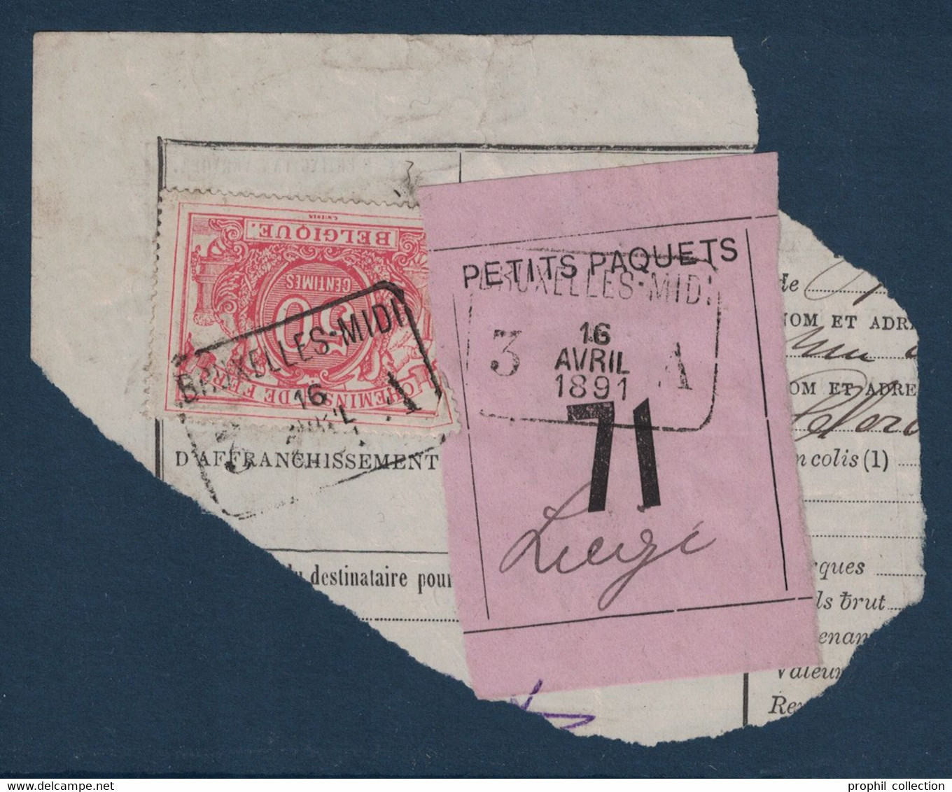 FRAGMENT Avec ETIQUETTE PETITS PAQUETS TIMBRE CHEMINS DE FER CACHET RECTANGULAIRE BRUXELLES MIDI 1891 - Documenti & Frammenti