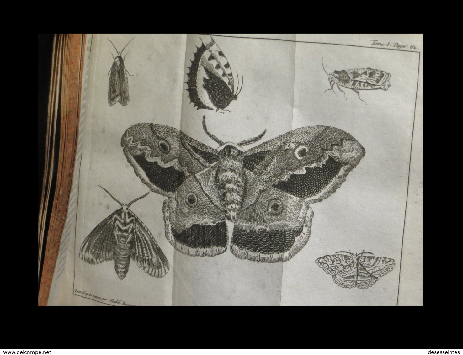 [ZOOLOGIE ENTOMOLOGIE PAPILLONS ABEILLES ORNITHOLOGIE] PLUCHE - Le Spectacle De La Nature. - 1701-1800