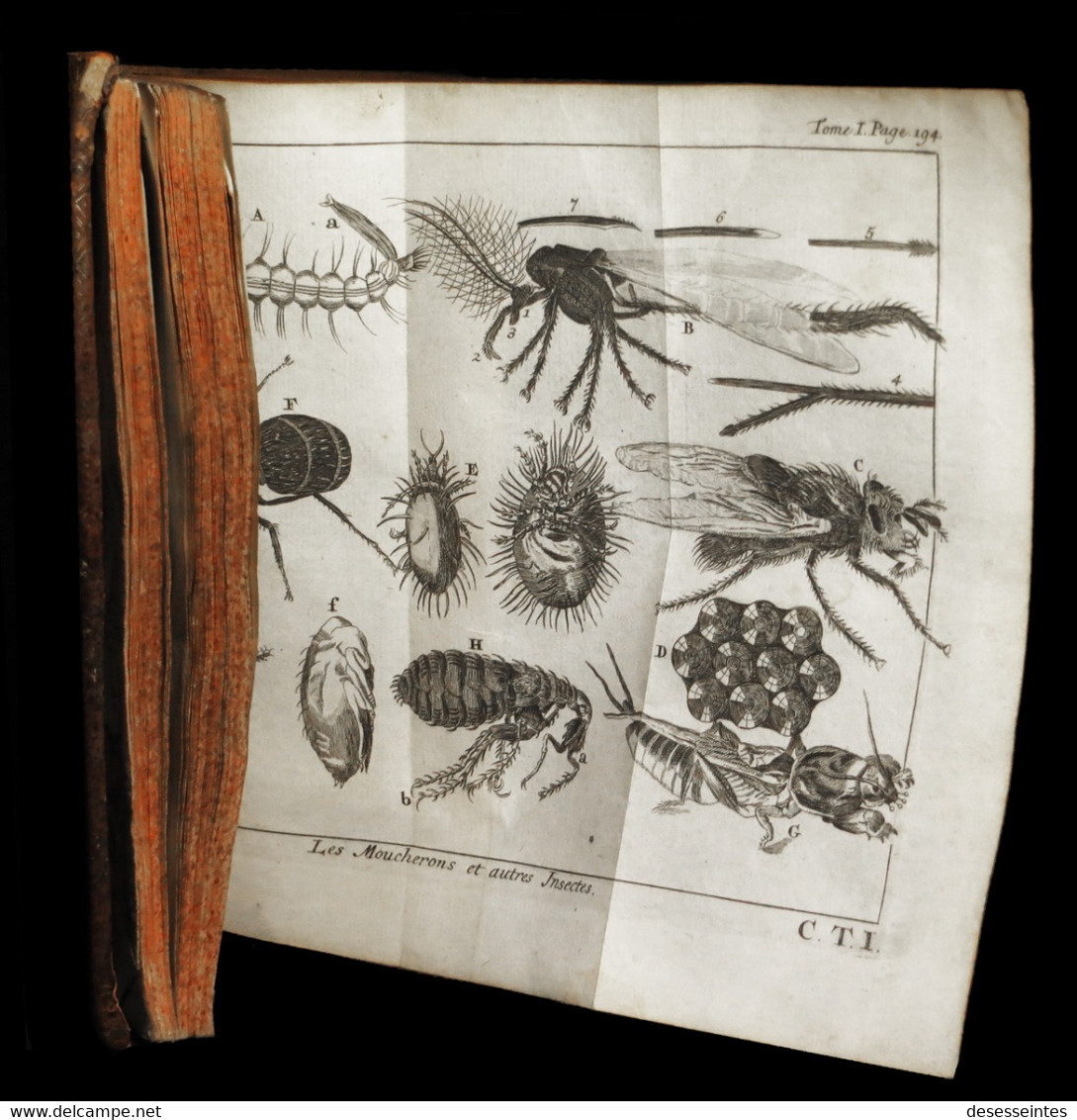 [ZOOLOGIE ENTOMOLOGIE PAPILLONS ABEILLES ORNITHOLOGIE] PLUCHE - Le Spectacle De La Nature. - 1701-1800