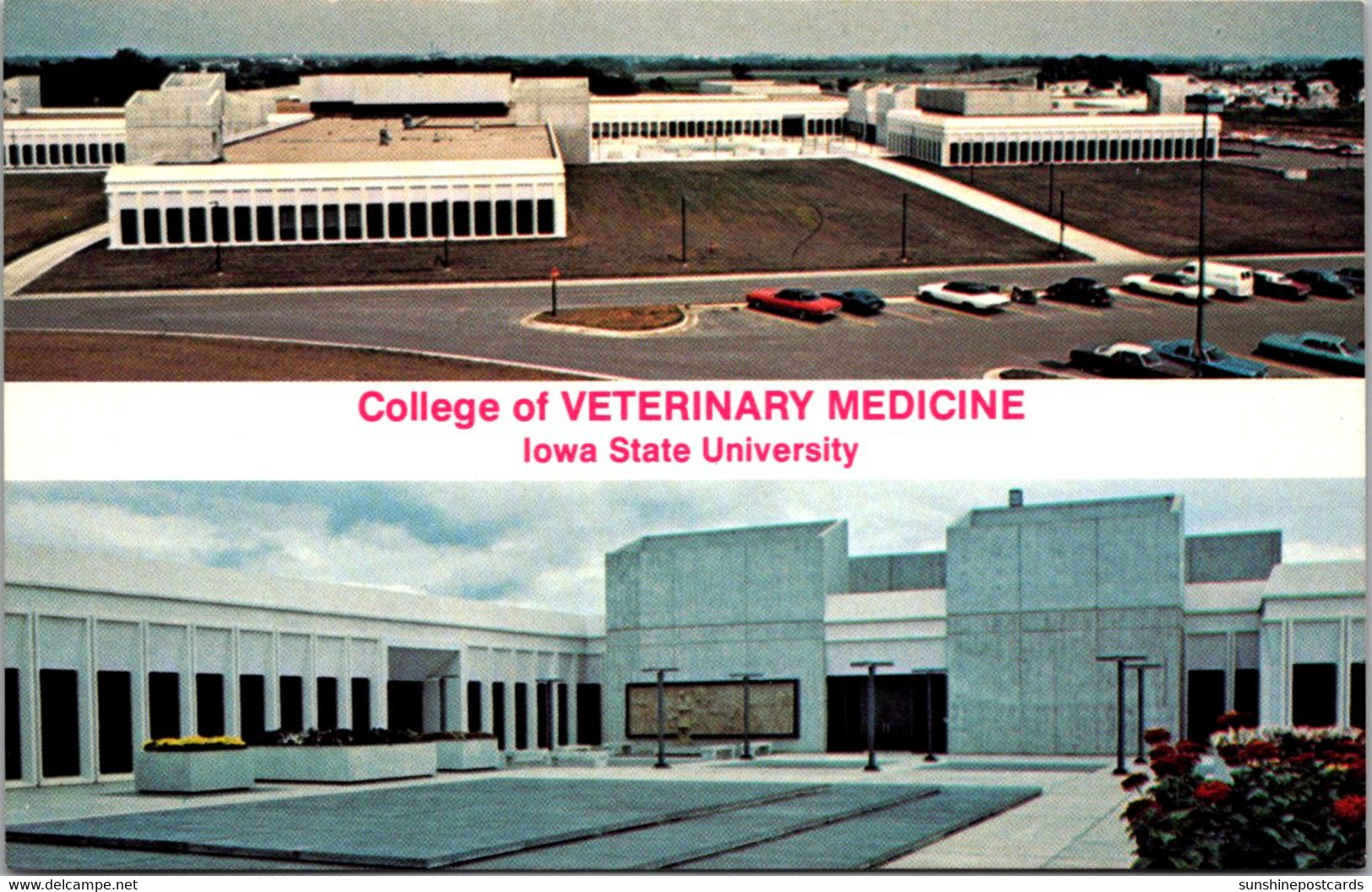 Iowa Ames College Of Veterinary Medicine Iowa State University - Ames