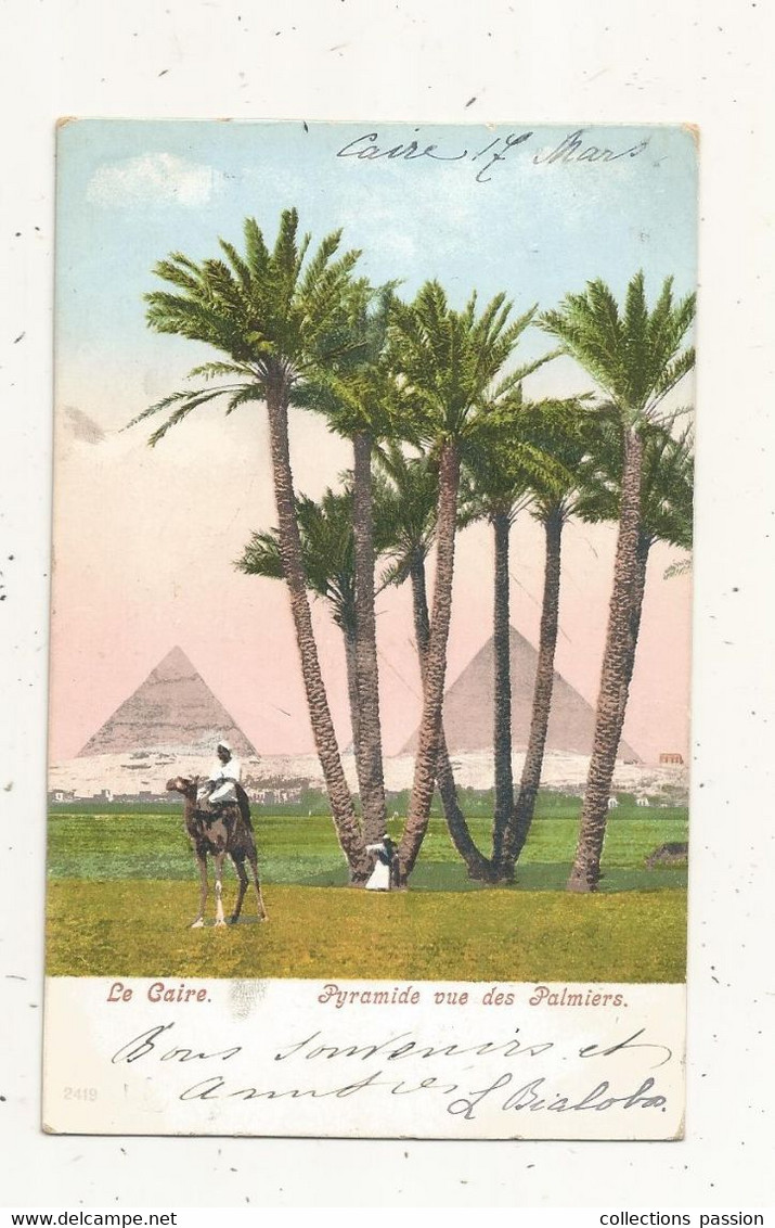 Cp, EGYPTE,  EGYPT, LE CAIRE, Pyramide Vue Des Palmiers, Dos Simple,  Voyagée ,  Union Postale Universelle - Kairo