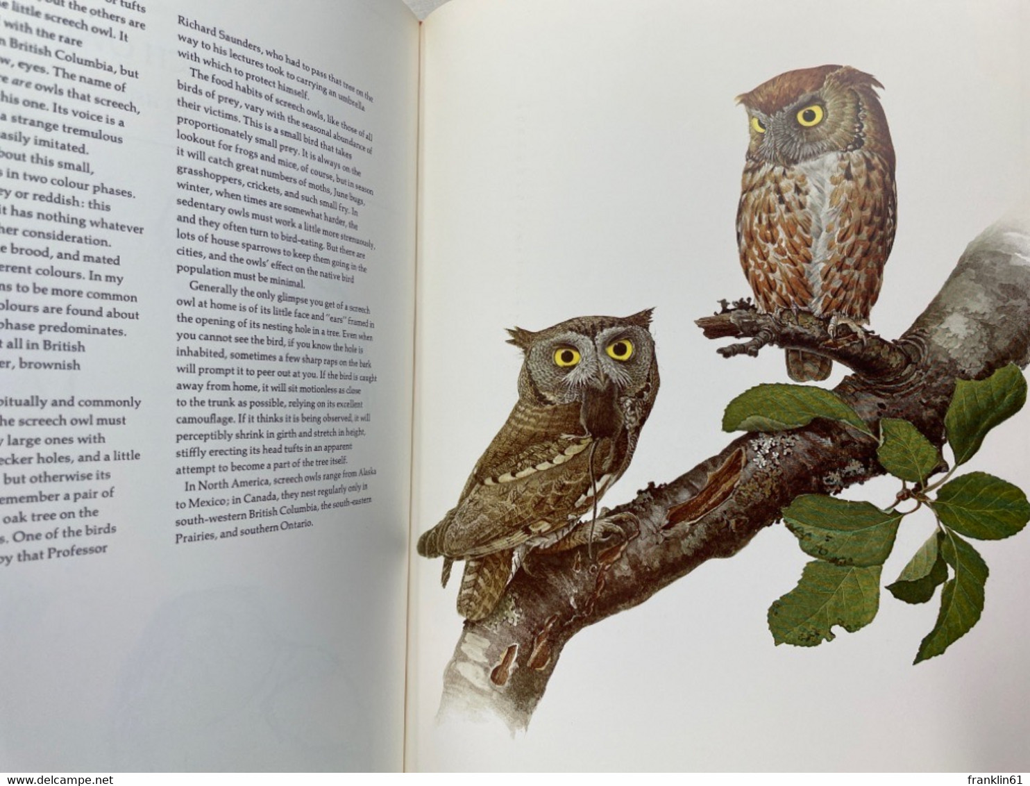 Lansdowne's Birds of the Forest. Birds of the Eastern Forest ( Volume 1 & 2 ) and Birds of the Northern Forest