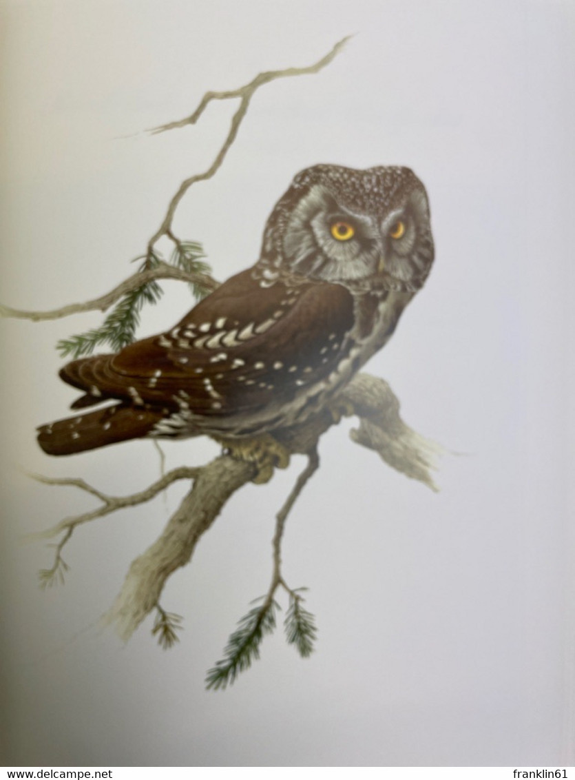 Lansdowne's Birds of the Forest. Birds of the Eastern Forest ( Volume 1 & 2 ) and Birds of the Northern Forest