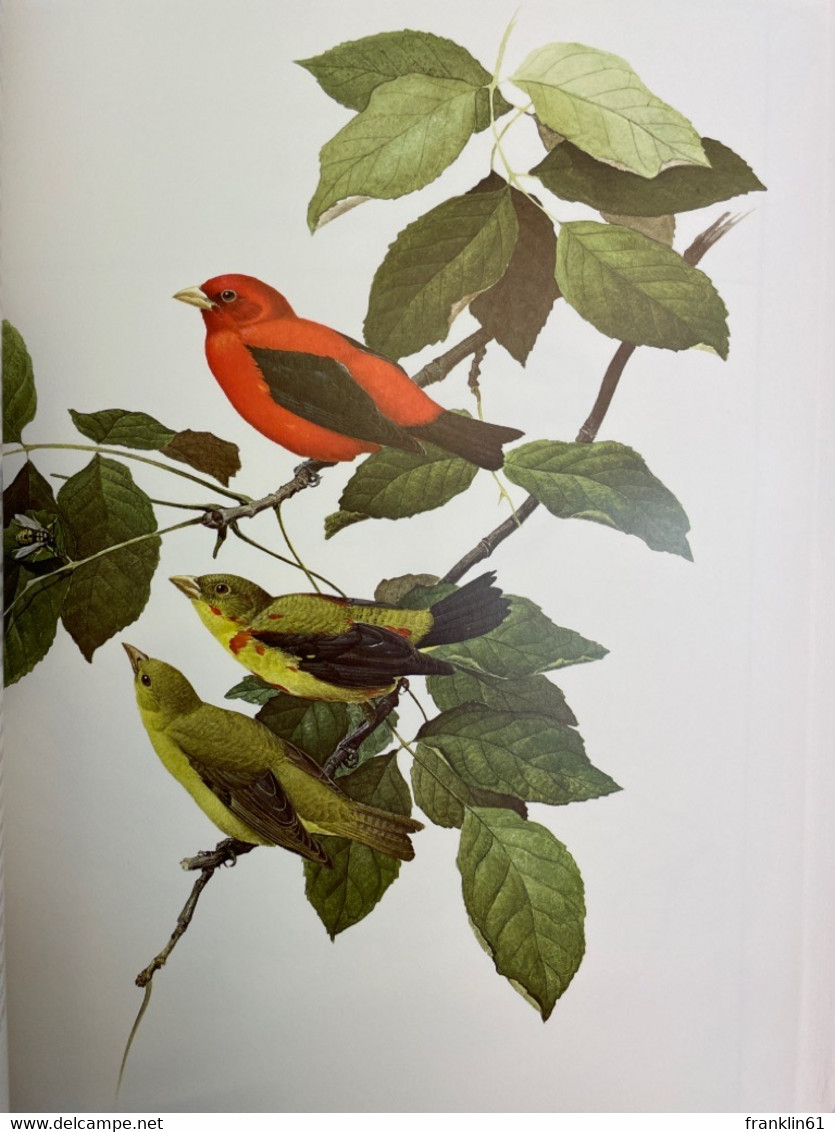 Lansdowne's Birds of the Forest. Birds of the Eastern Forest ( Volume 1 & 2 ) and Birds of the Northern Forest