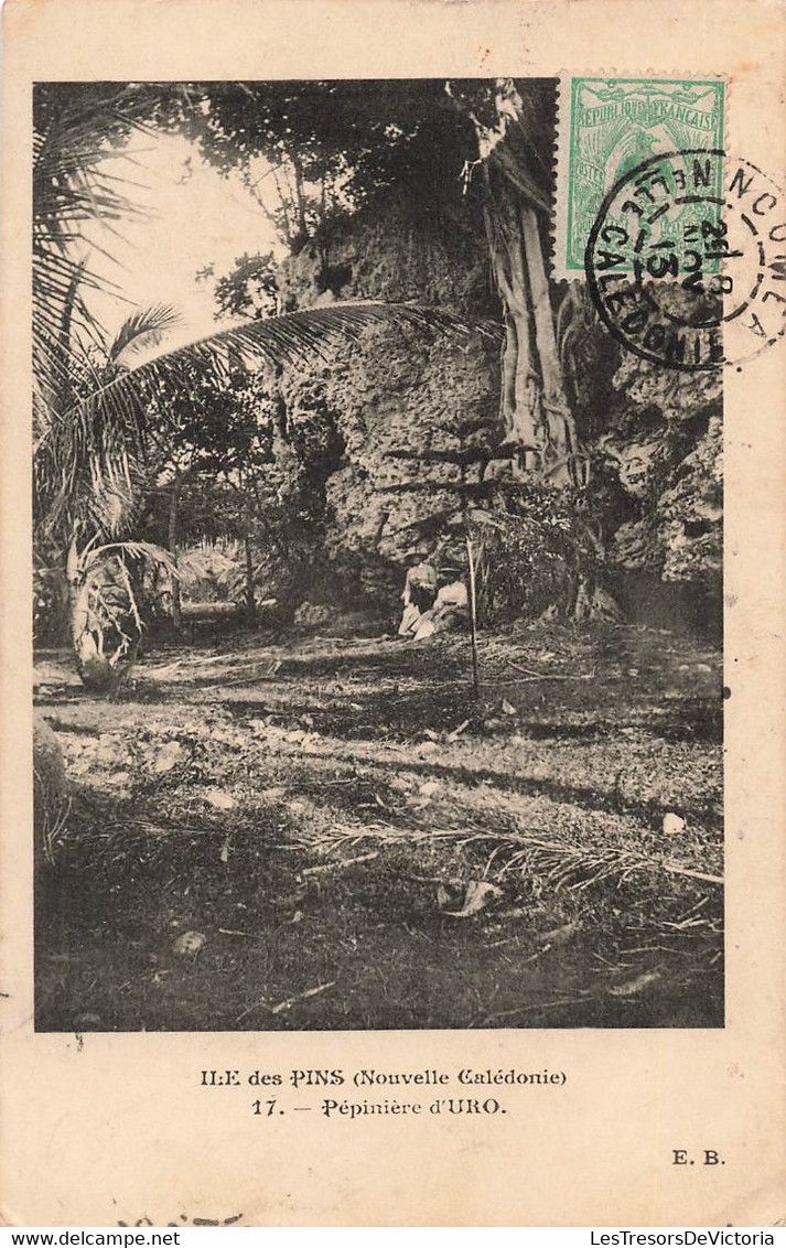 CPA NOUVELLE CALEDONIE - Ile Des Pins - Pépinière D'Uro - E B - Oblitéré A Bruxelles En 1913 - New Caledonia