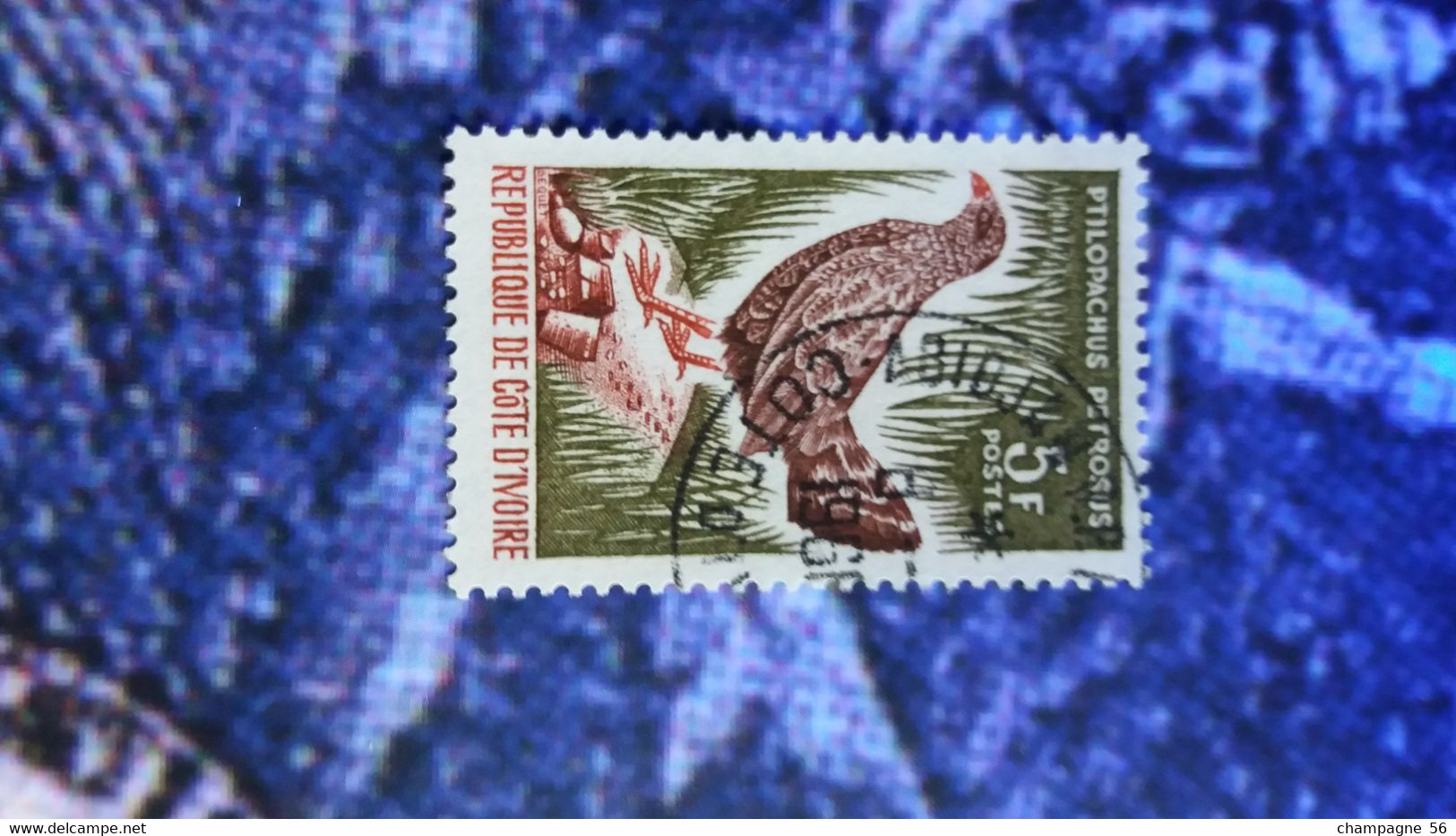 COTE D  IVOIRE 1966 N° 251  OBLITERE - Grey Partridge