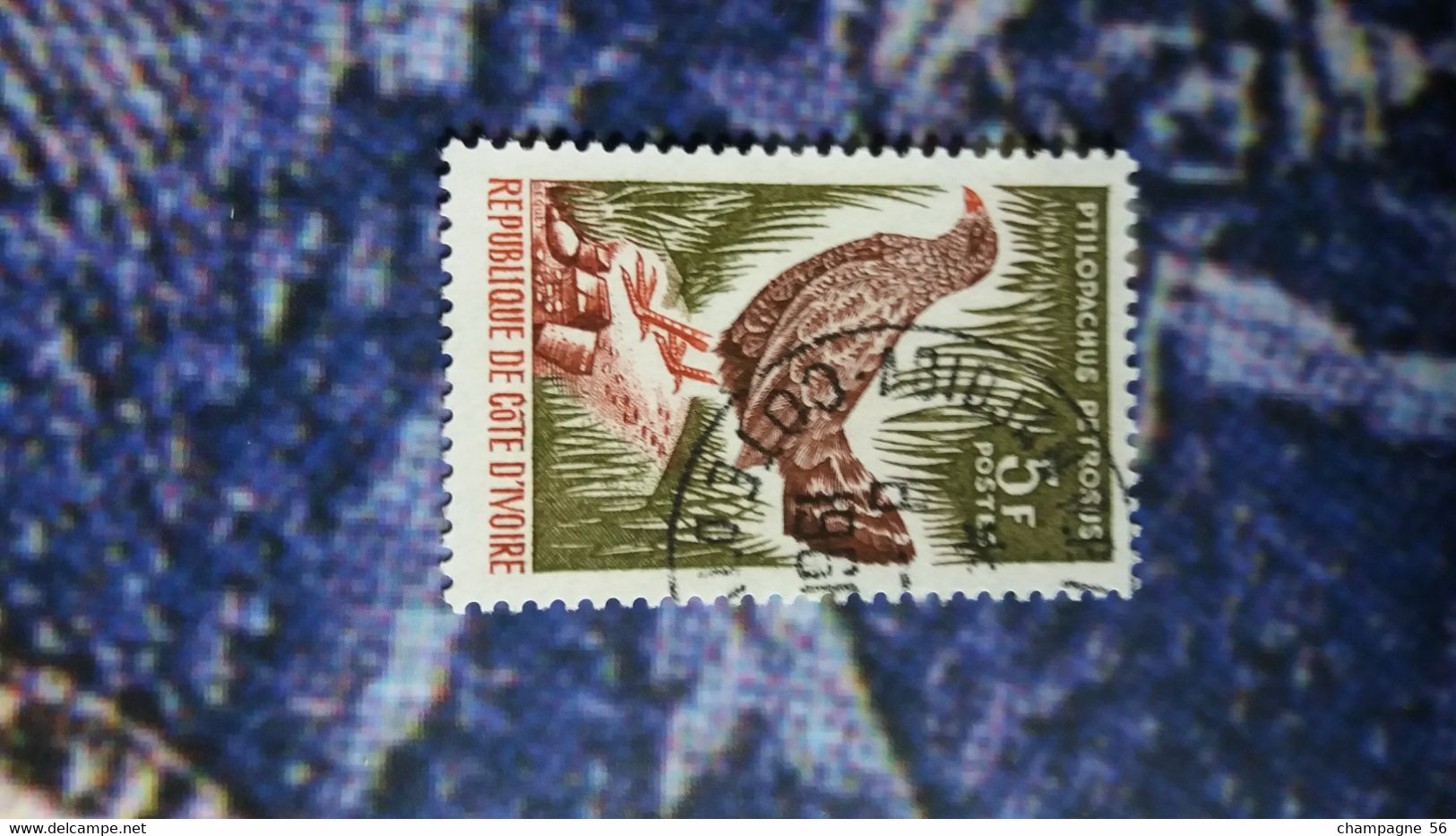 COTE D  IVOIRE 1966 N° 251  OBLITERE - Grey Partridge