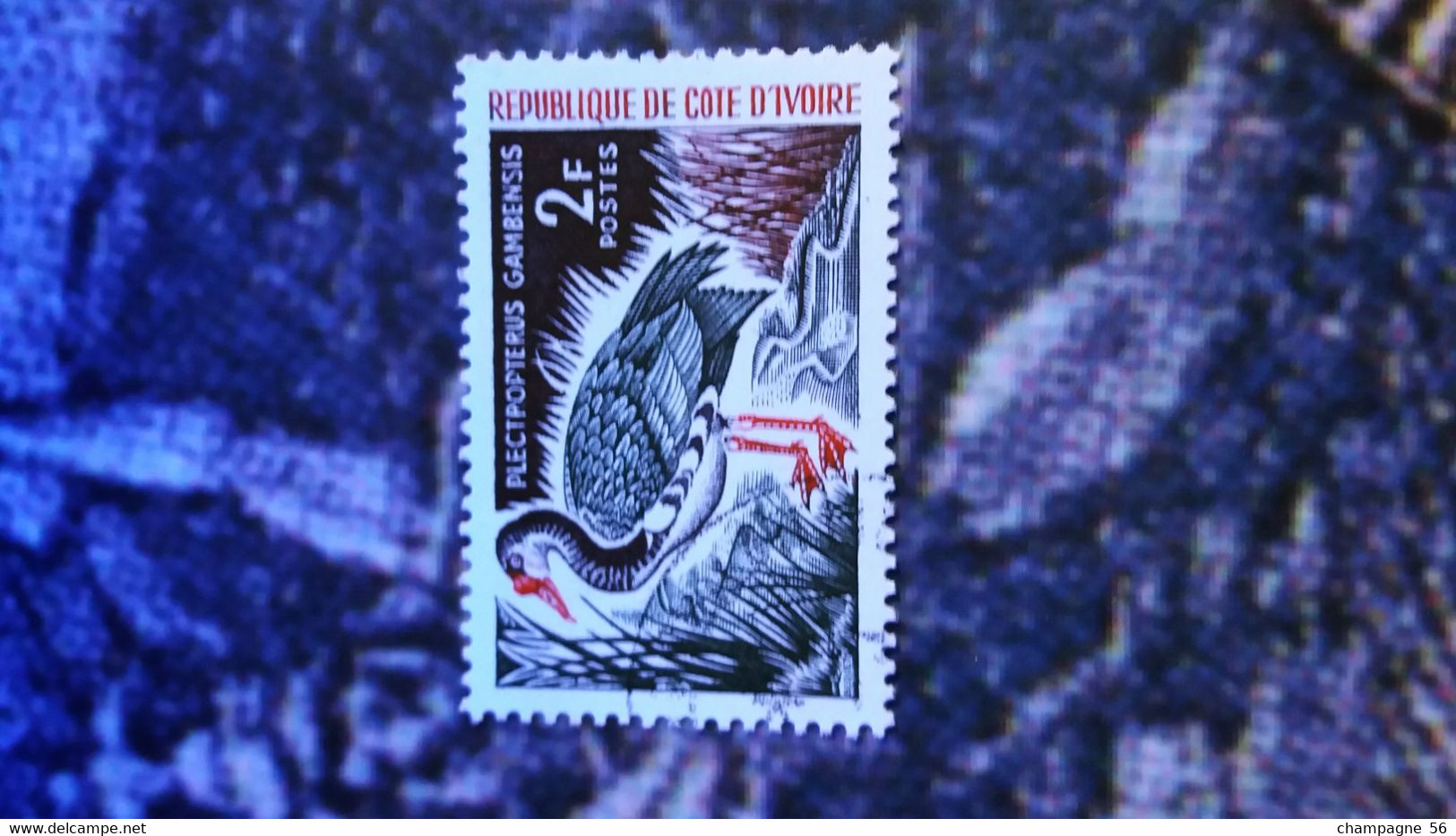 COTE D  IVOIRE 1966 N° 250  OBLITERE GOMME - Gänsevögel