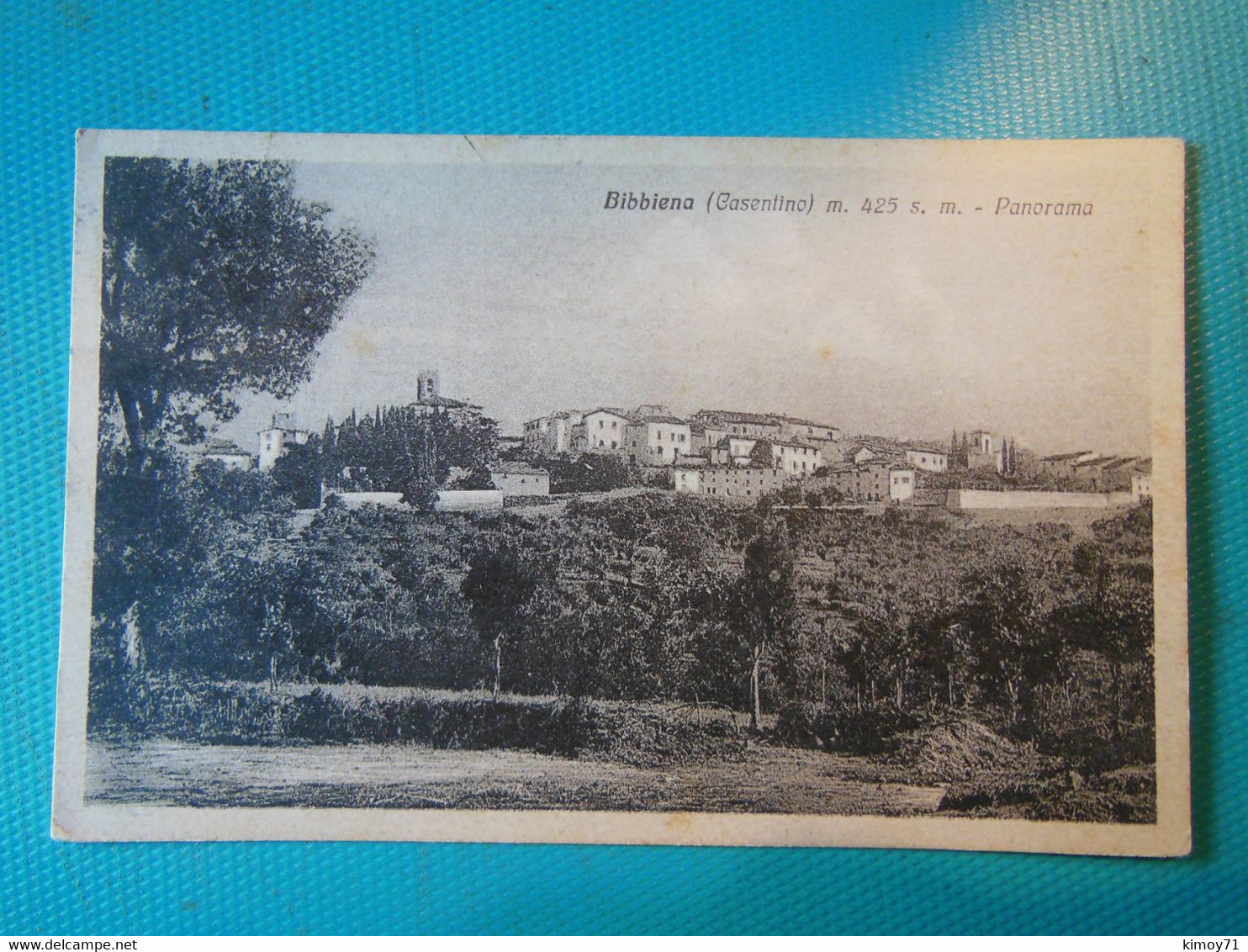 Cartolina Bibbiena (Casentino) M. 425 S. M. - Panorama. Viaggiata 1920 - Arezzo