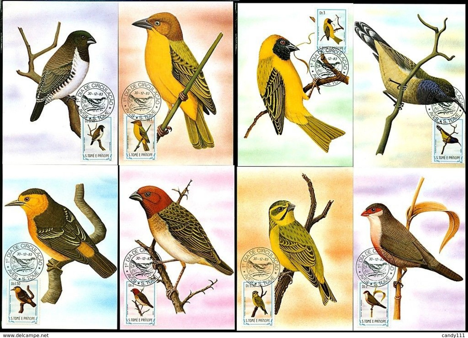 1983 Sao Tome Bird,Vögel,Oiseau,Aves,Ucelli,Owl,Cuckoo,Dove,Oriole,21 Maxi Cards - Cuckoos & Turacos